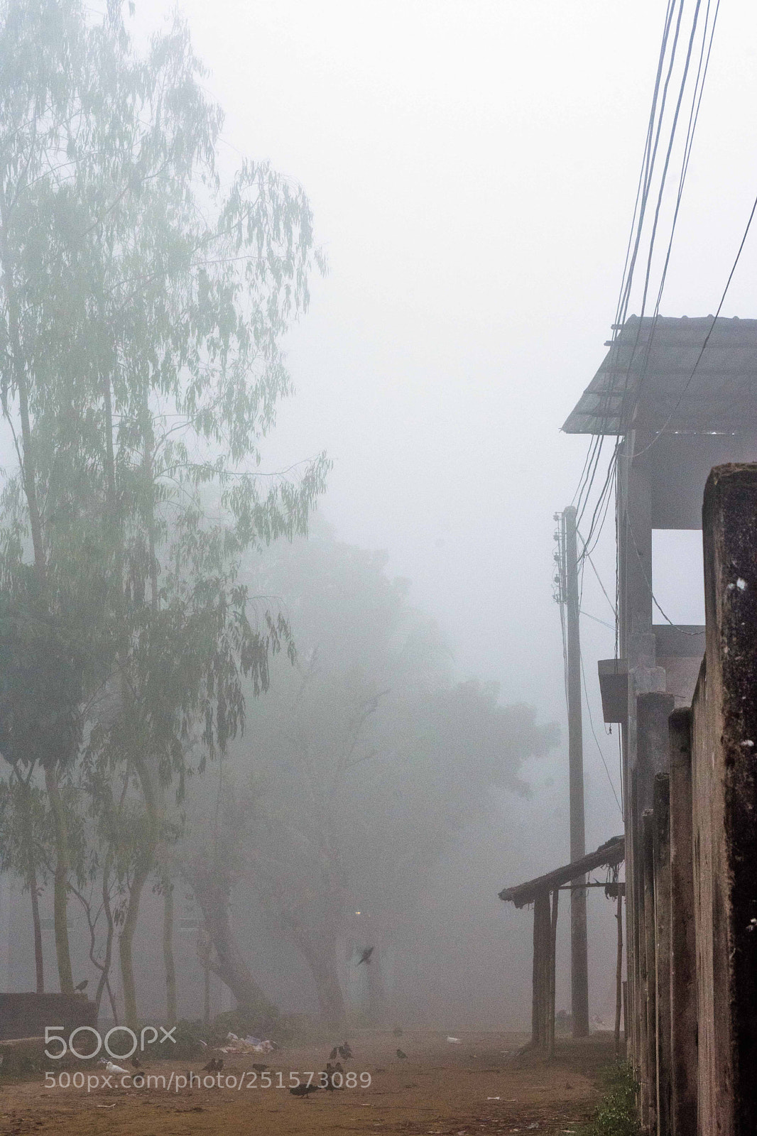 Nikon D7200 sample photo. Winter in panchagarh photography