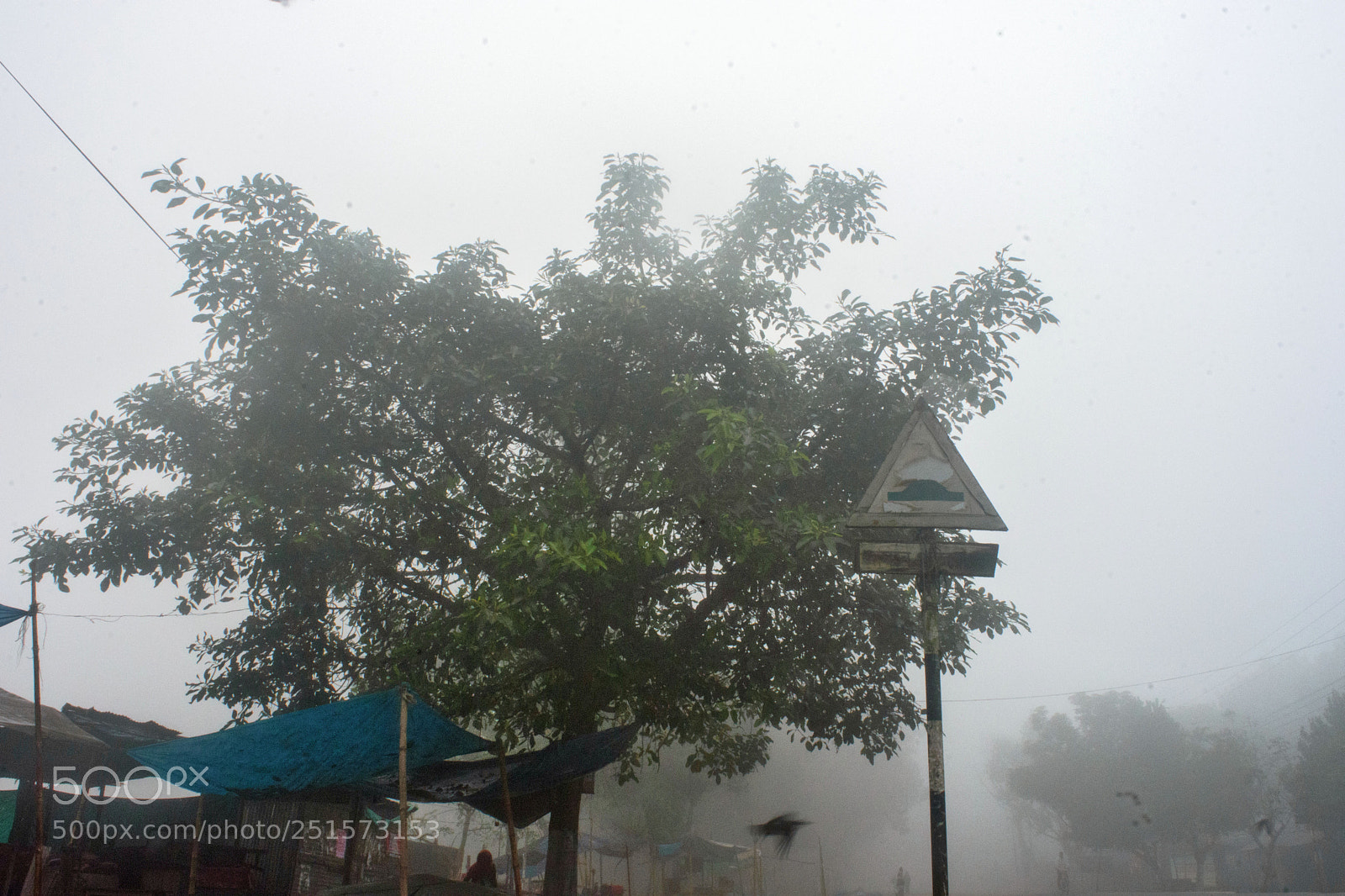 Nikon D7200 sample photo. Fog bazaar photography