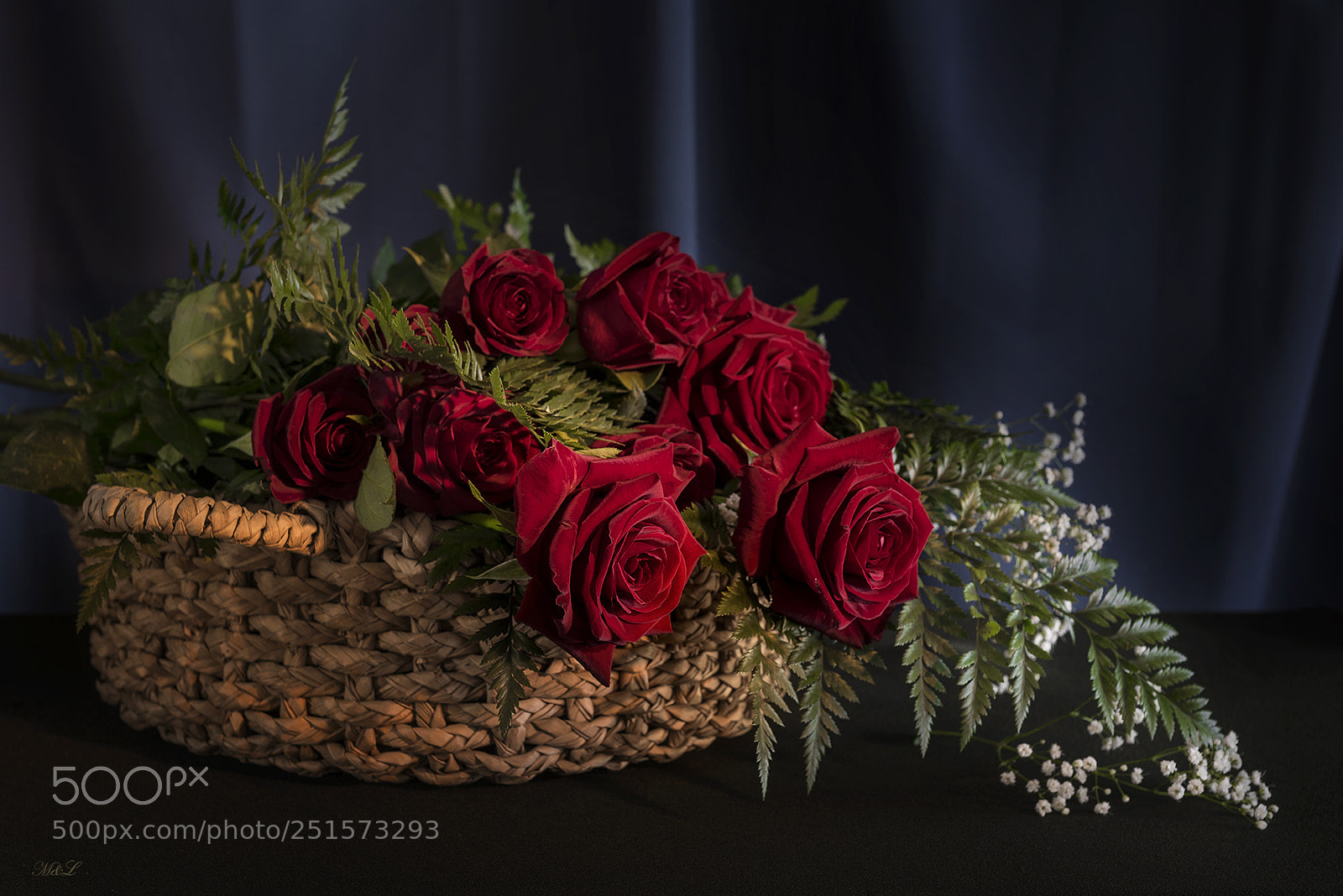 Nikon D810 sample photo. *** photography
