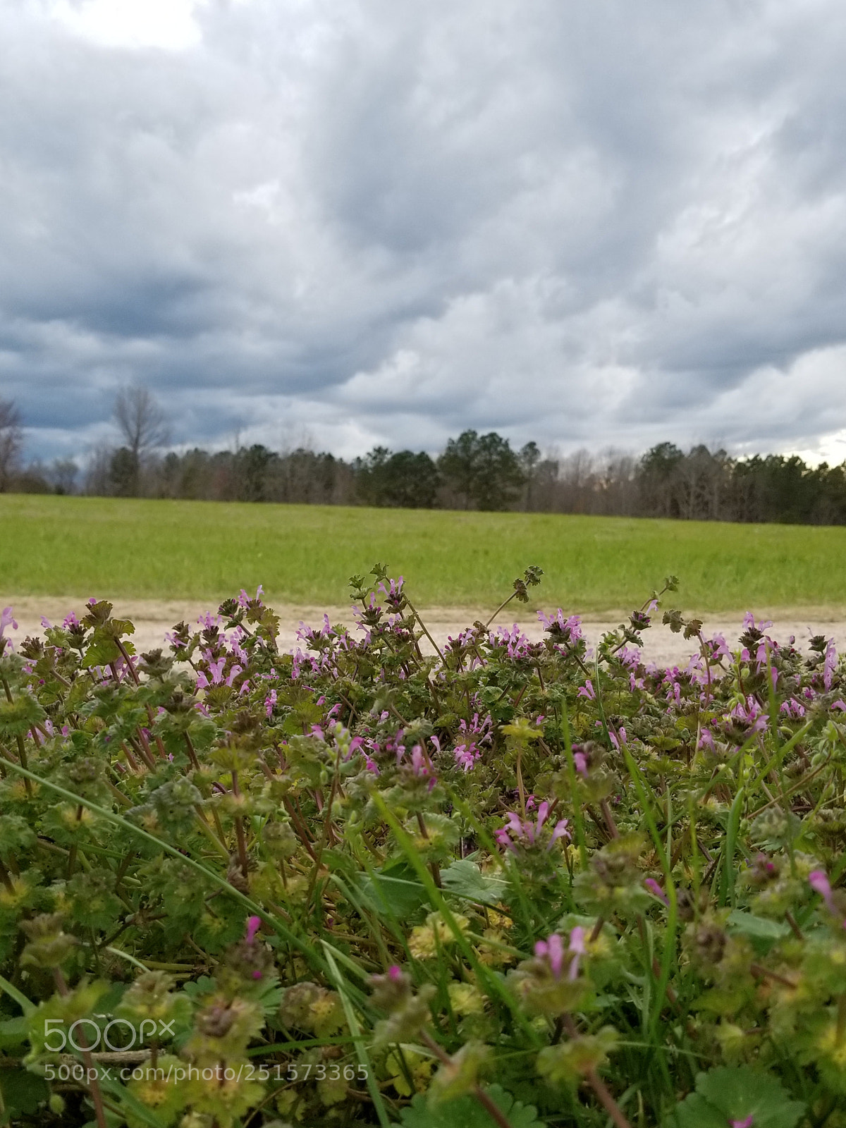 Samsung Galaxy S8+ sample photo. Untitled photography