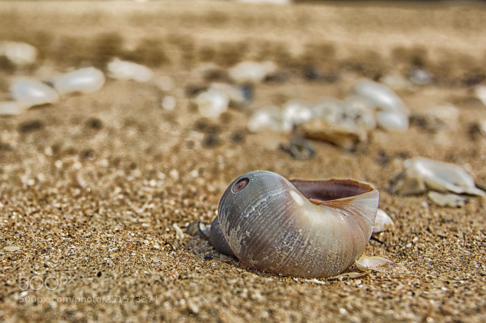 Canon EOS 60D sample photo. Untitled photography