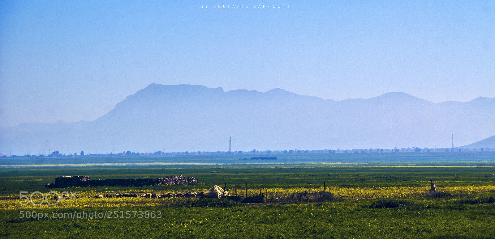 Canon EOS 60D sample photo. Green plain photography