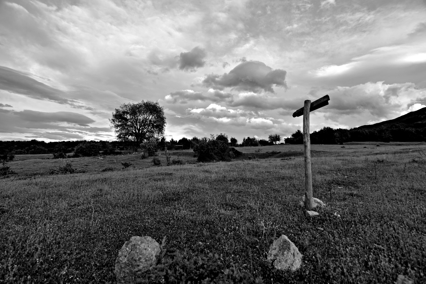 Nikon D7100 sample photo. #125 photography