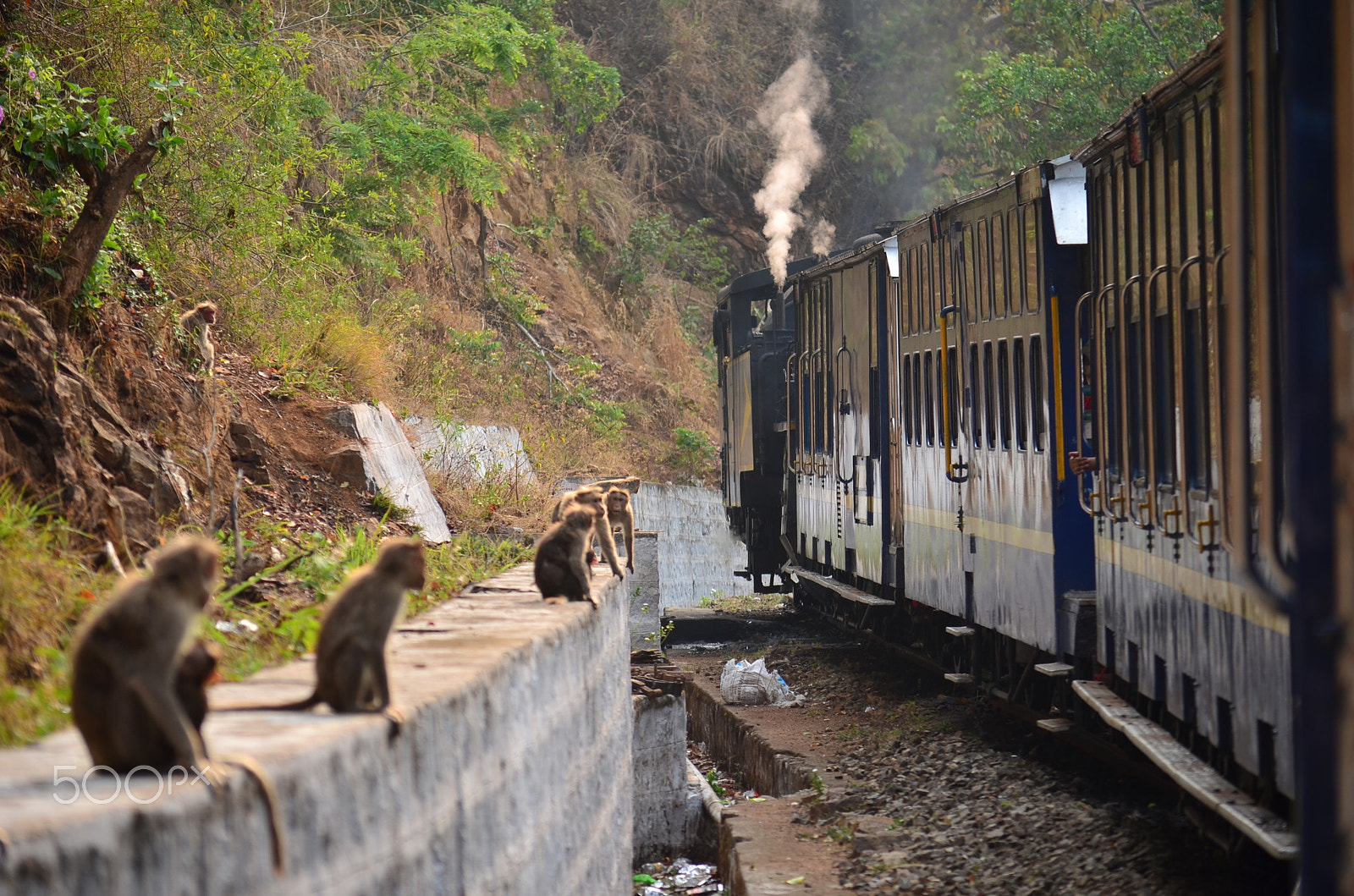 Nikon D5100 sample photo. "the mountain train" photography