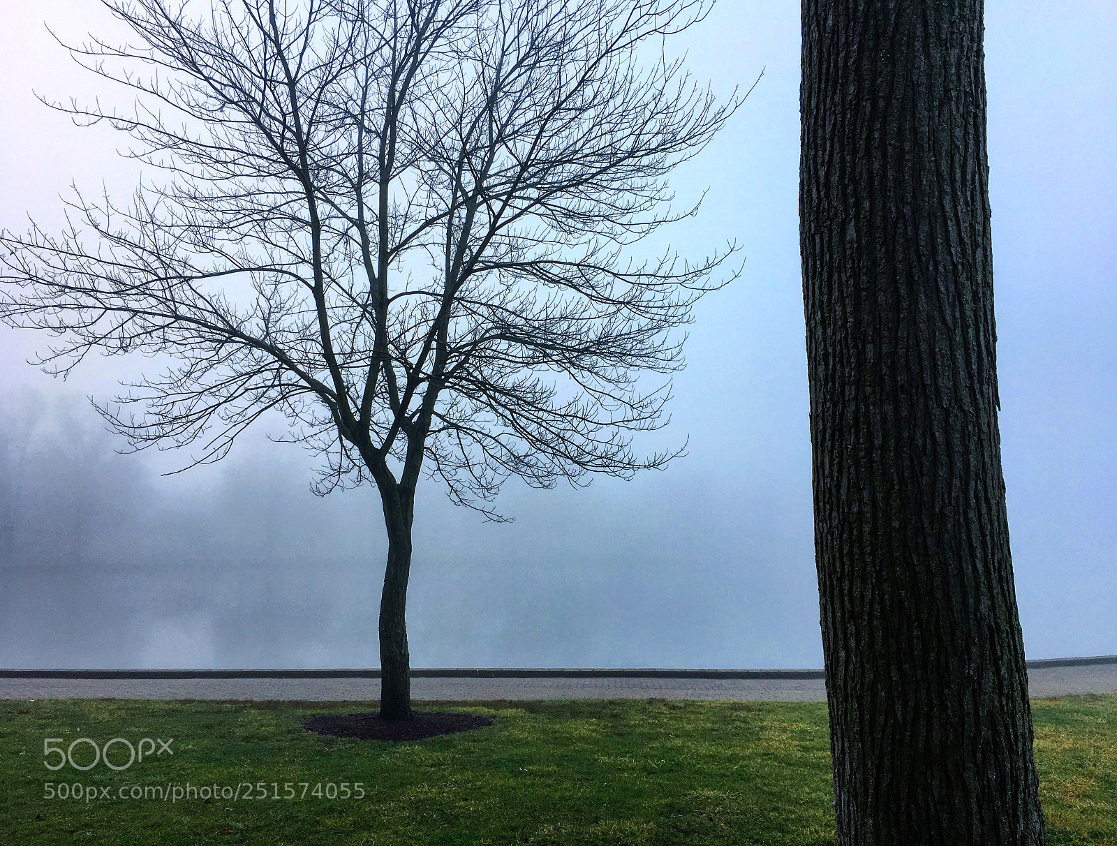 Apple iPhone 6s sample photo. A foggy morning  photography