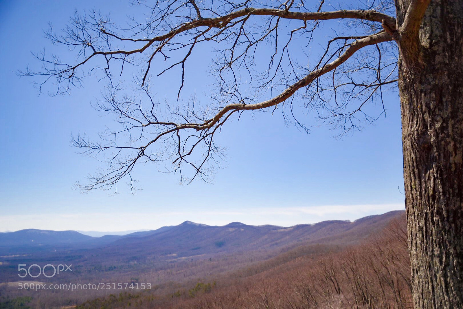 Nikon D5500 sample photo. Blue ridge photography