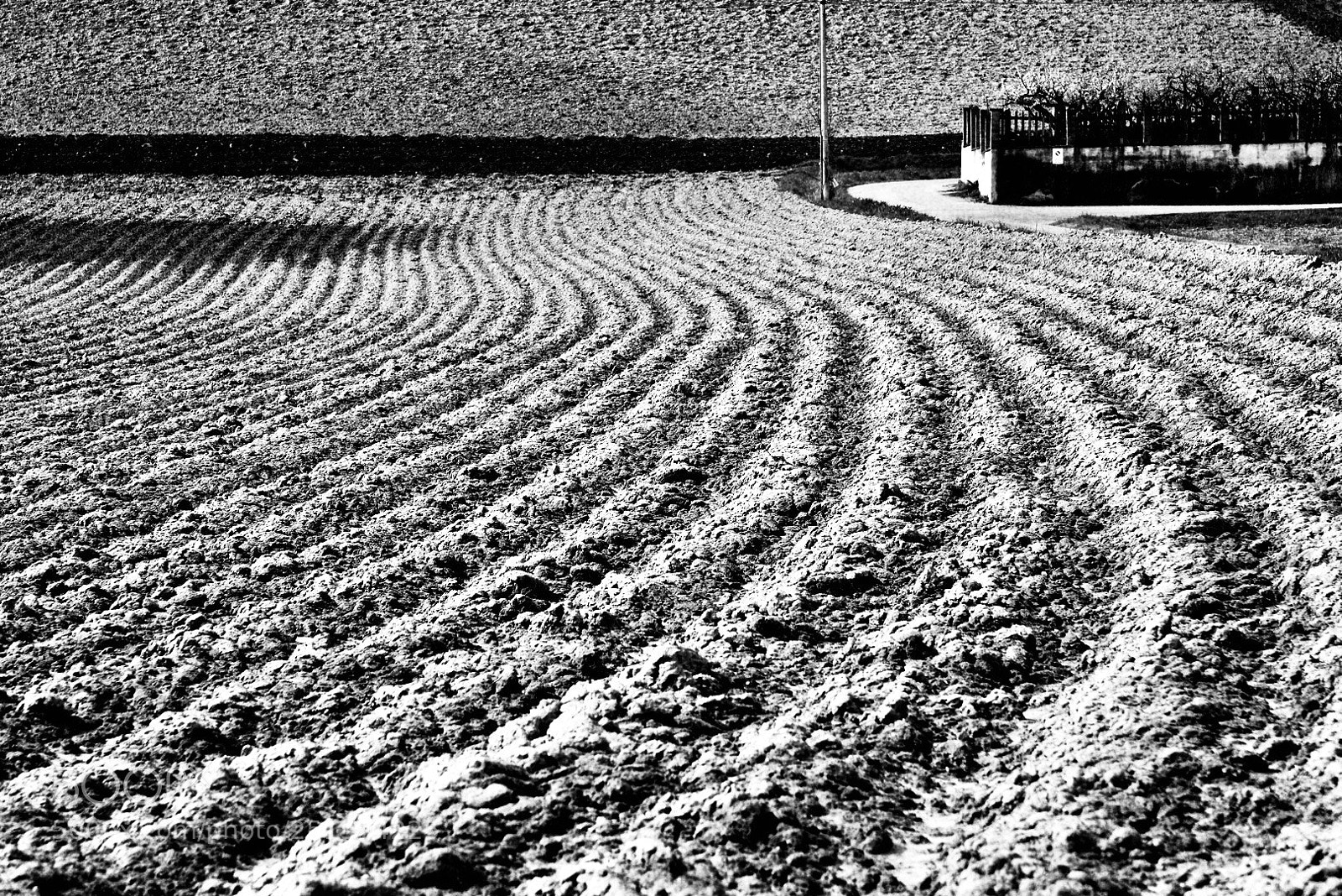Nikon D610 sample photo. Colline astigiane  photography