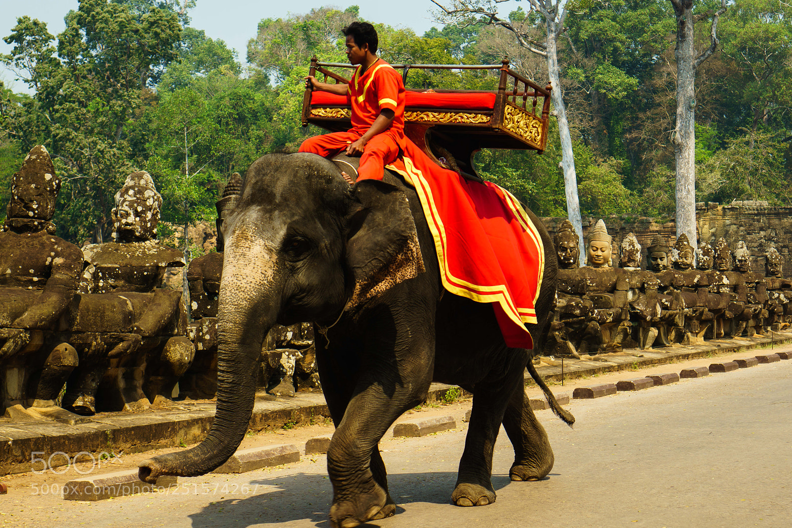 Sony a6000 sample photo. Elephant photography
