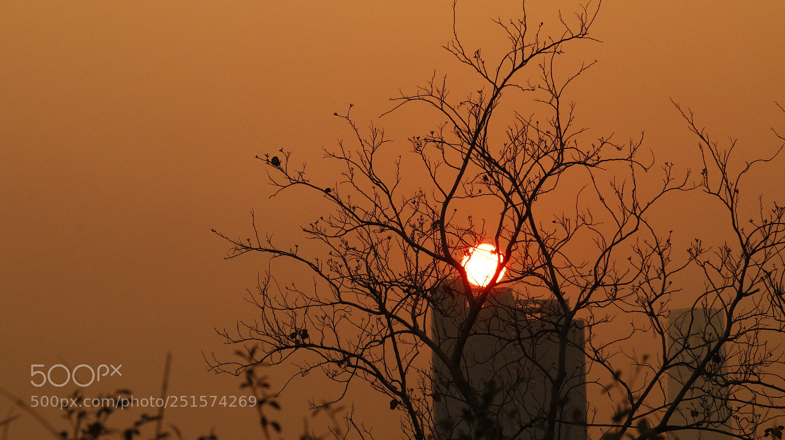 Canon EOS 70D sample photo. Sunset photography