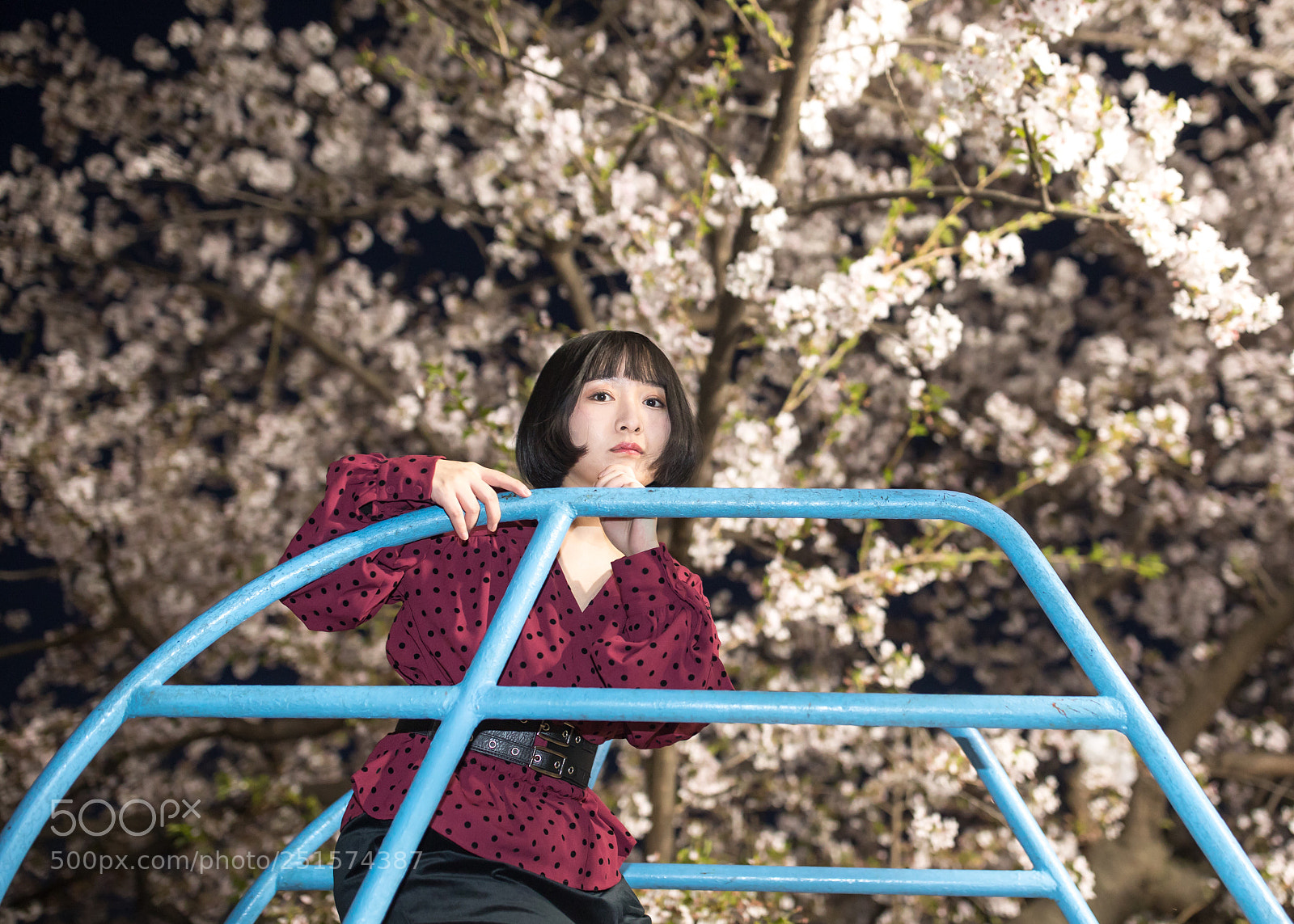 Canon EOS 5D Mark IV sample photo. Night sakura photography