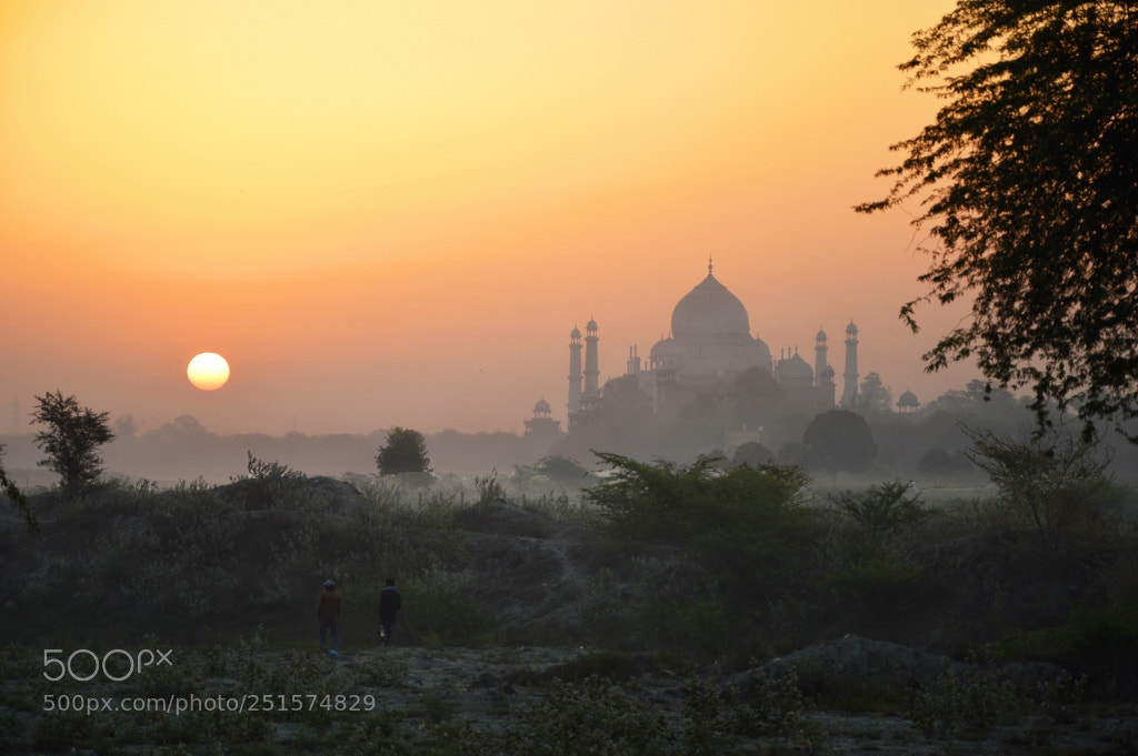 Nikon D3200 sample photo. Taj sunrise photography