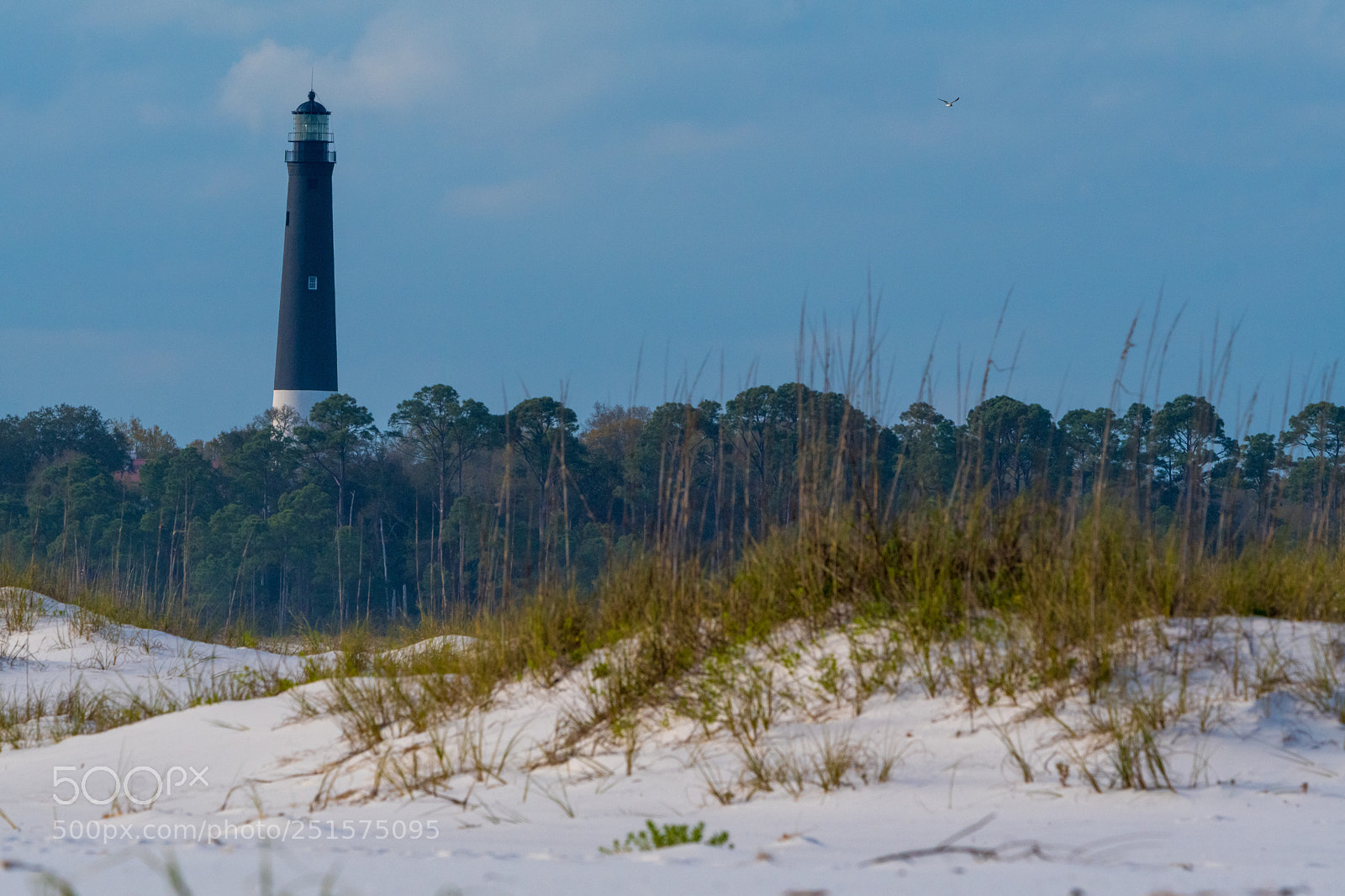 Nikon D500 sample photo. Lighthouse photography