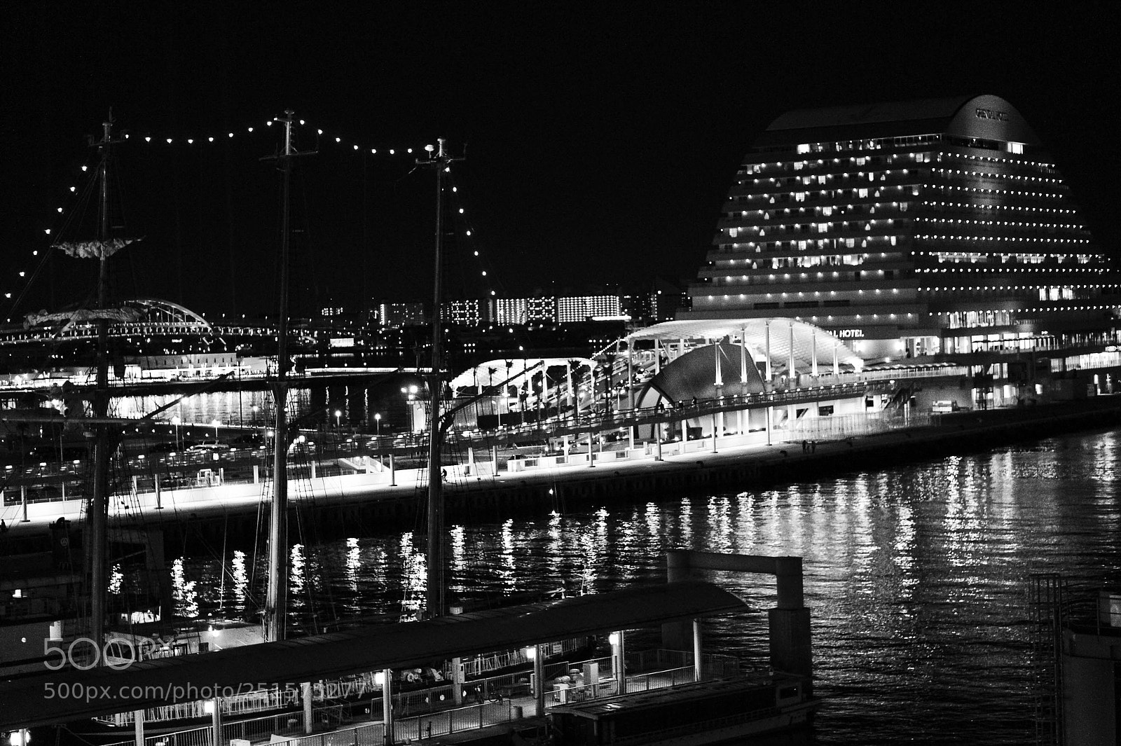 Sony Alpha NEX-5 sample photo. Kobe harborland b&w photography