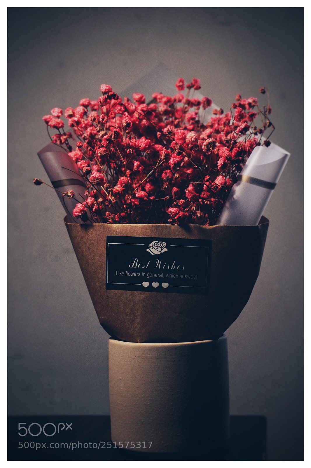 Sony a6300 sample photo. Untitled photography