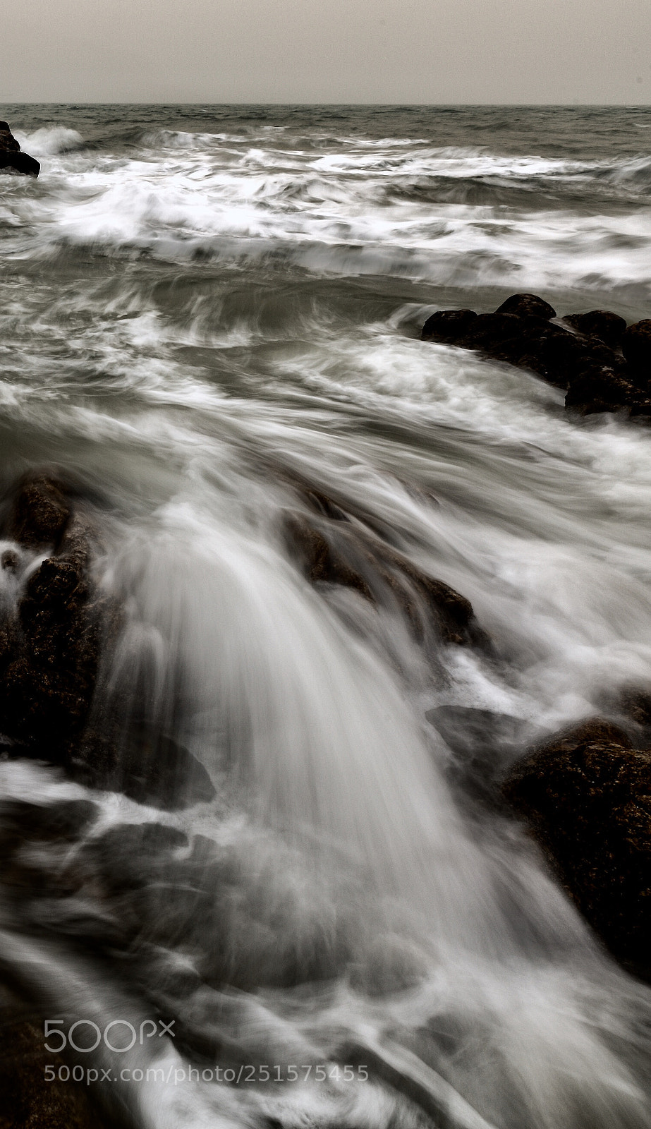 Canon EOS 5DS R sample photo. No word photography