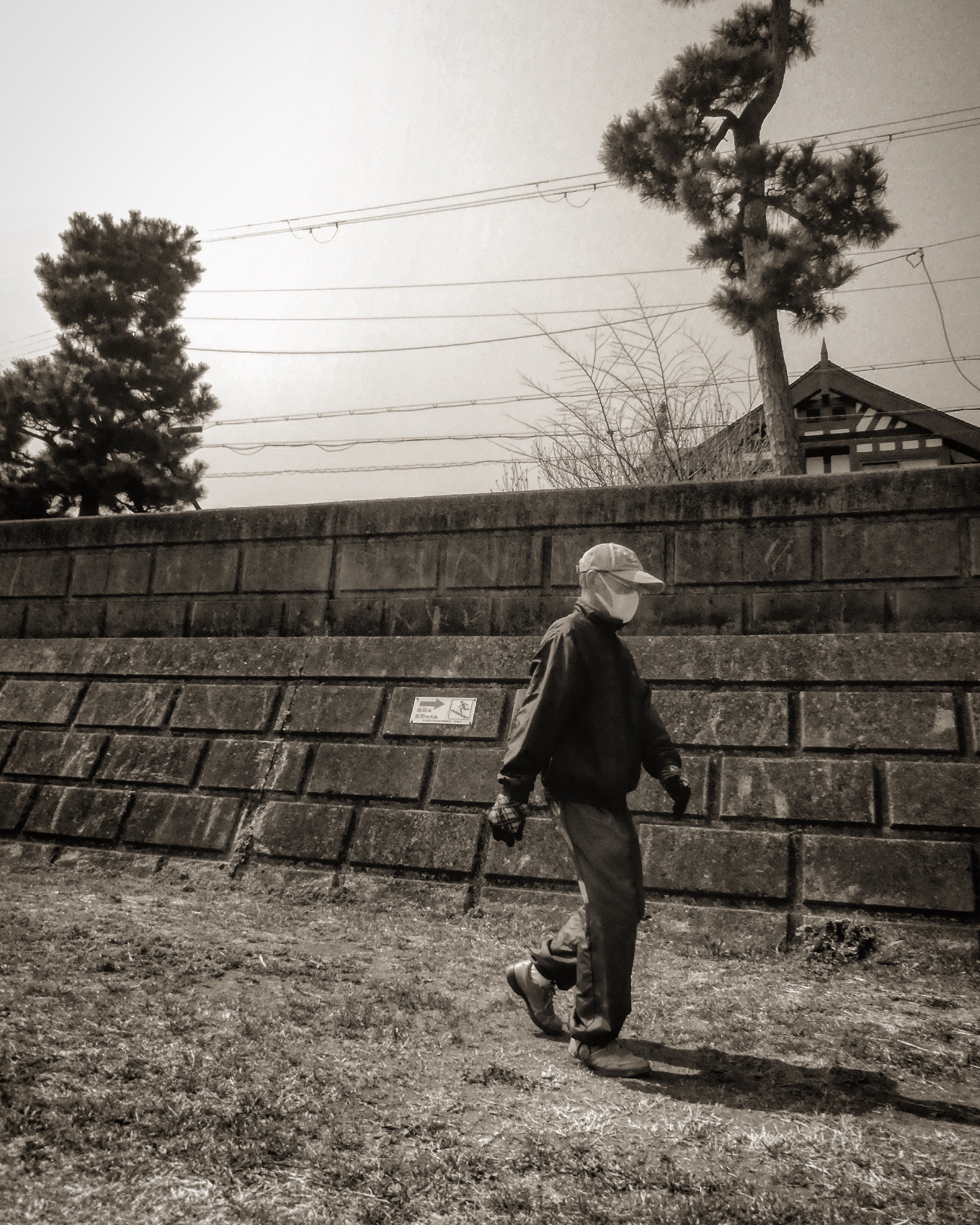Panasonic DMC-TZ85 sample photo