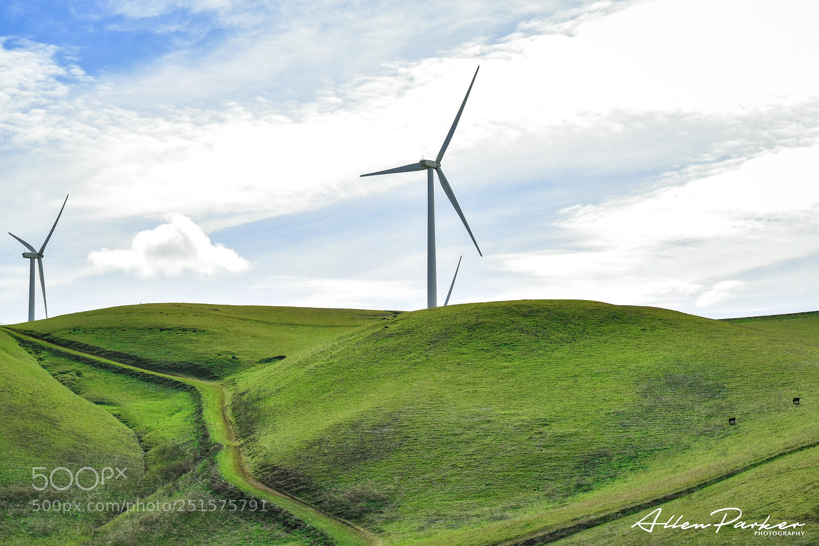 Nikon D5600 sample photo. Renewable landscape pt. 2  photography