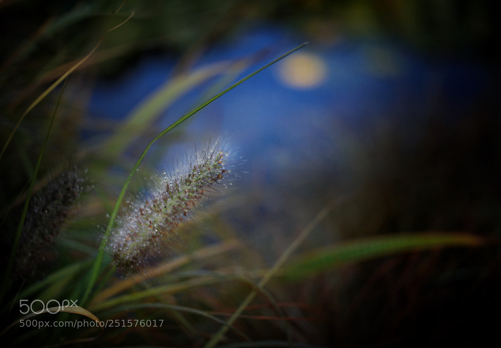 Canon EOS 5DS R sample photo. Touching photography