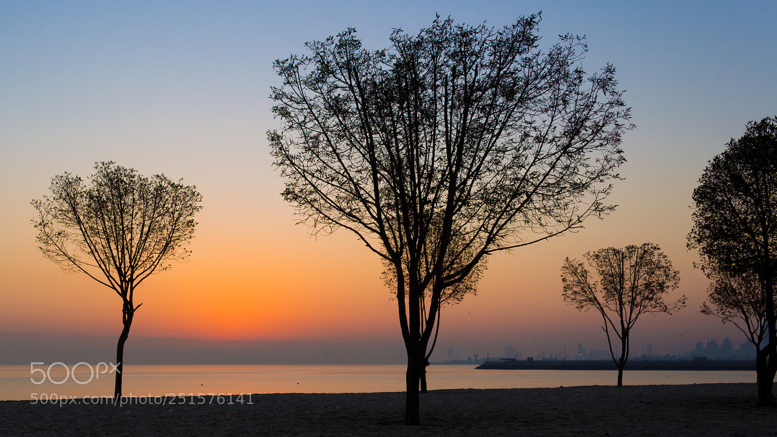 Canon EOS 700D (EOS Rebel T5i / EOS Kiss X7i) sample photo. First light photography