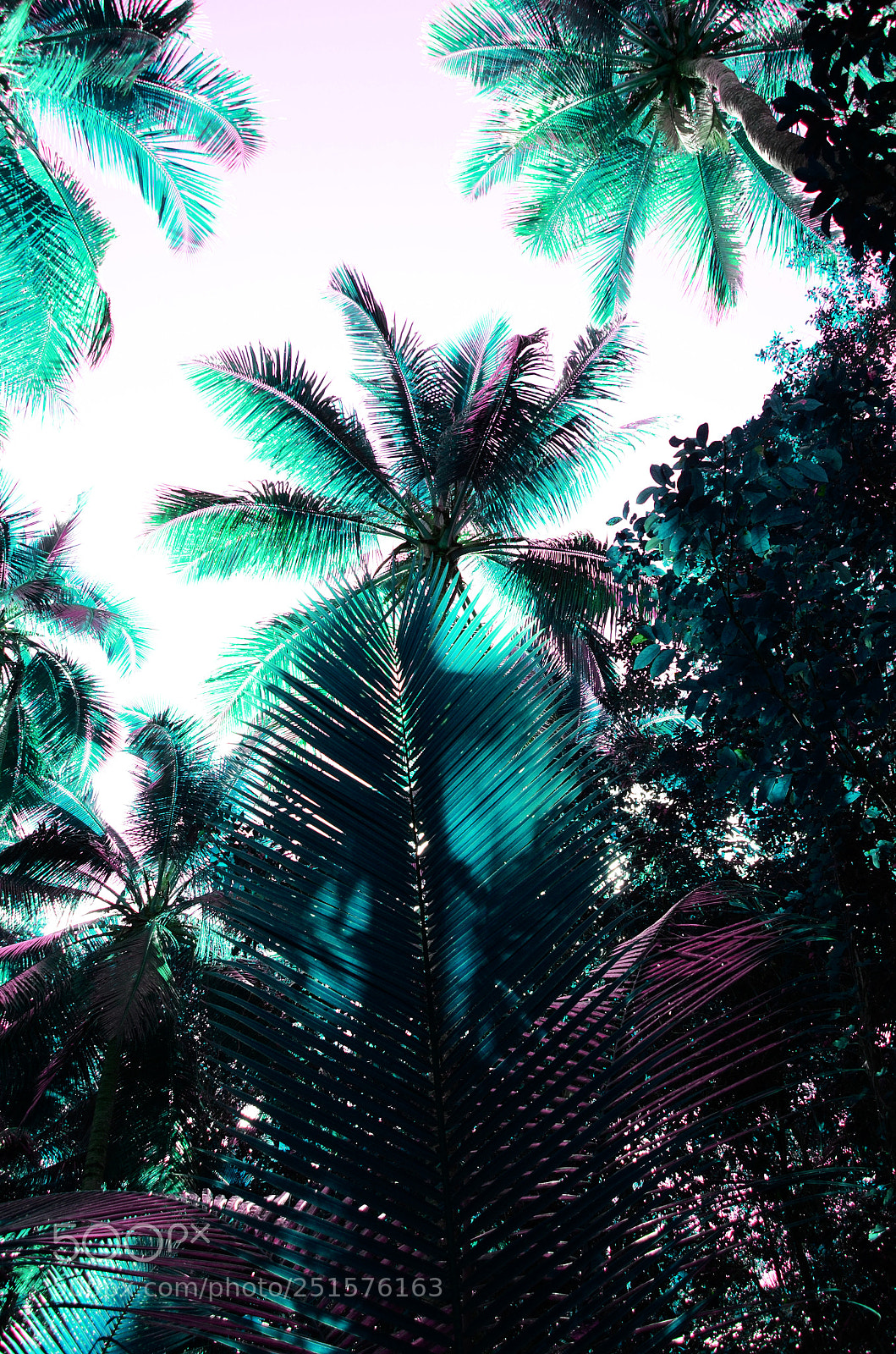 Nikon D7000 sample photo. Iles des pins photography