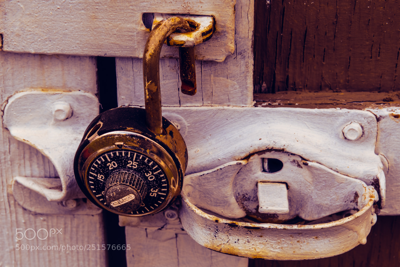 Nikon D850 sample photo. Twenty two and a photography