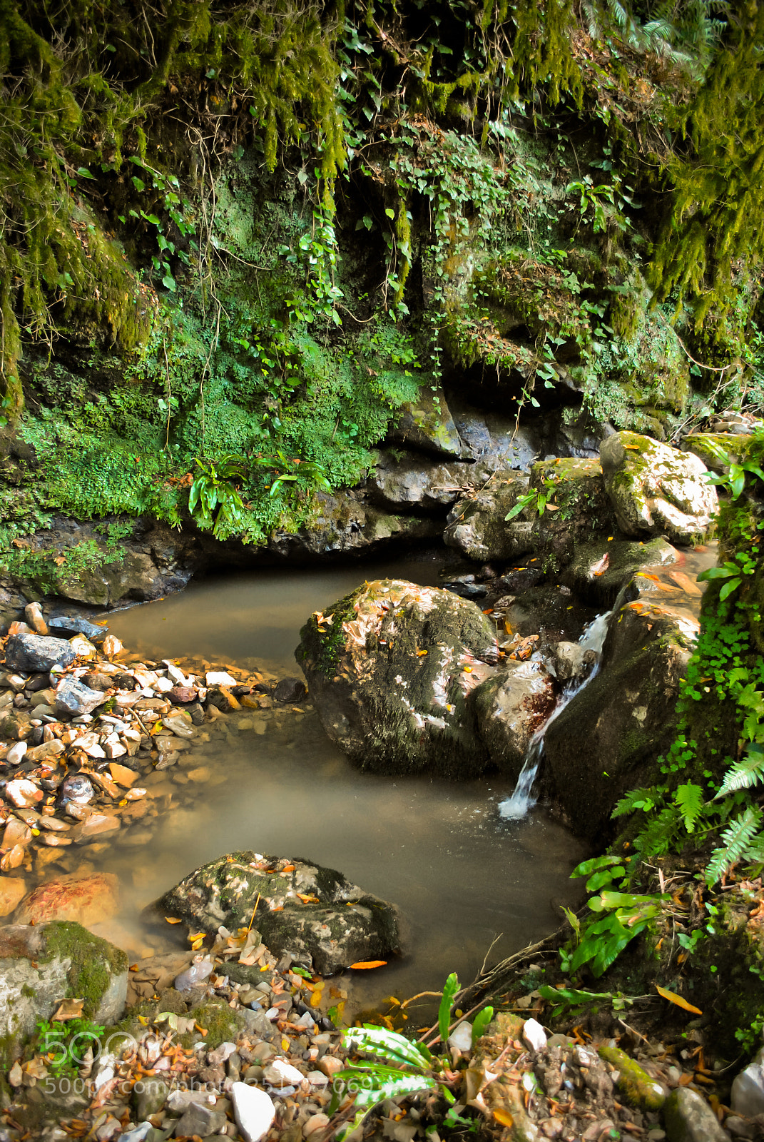 Nikon D3000 sample photo. Sochi photography