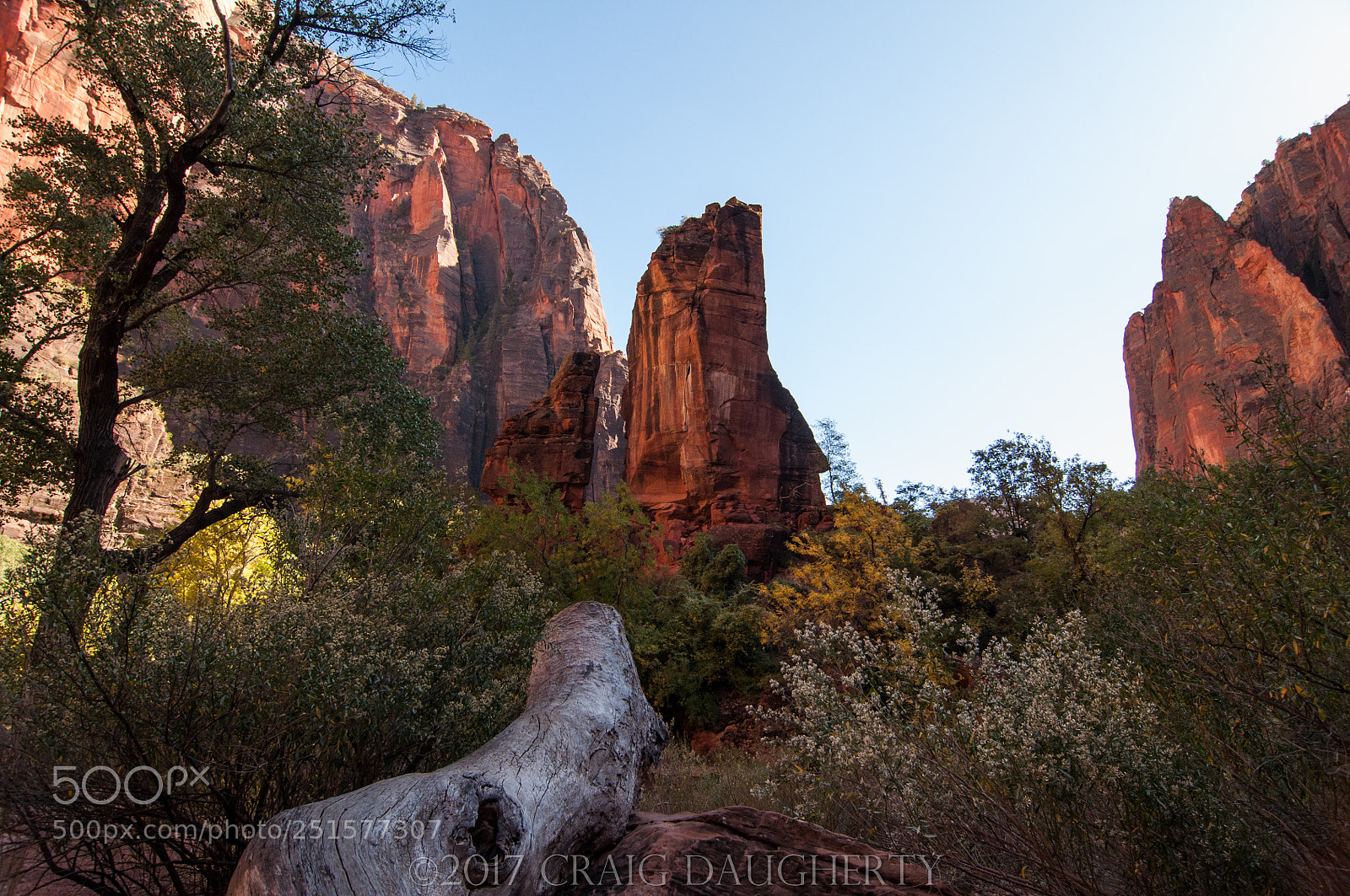 Nikon D90 sample photo. Zion nat pk photography