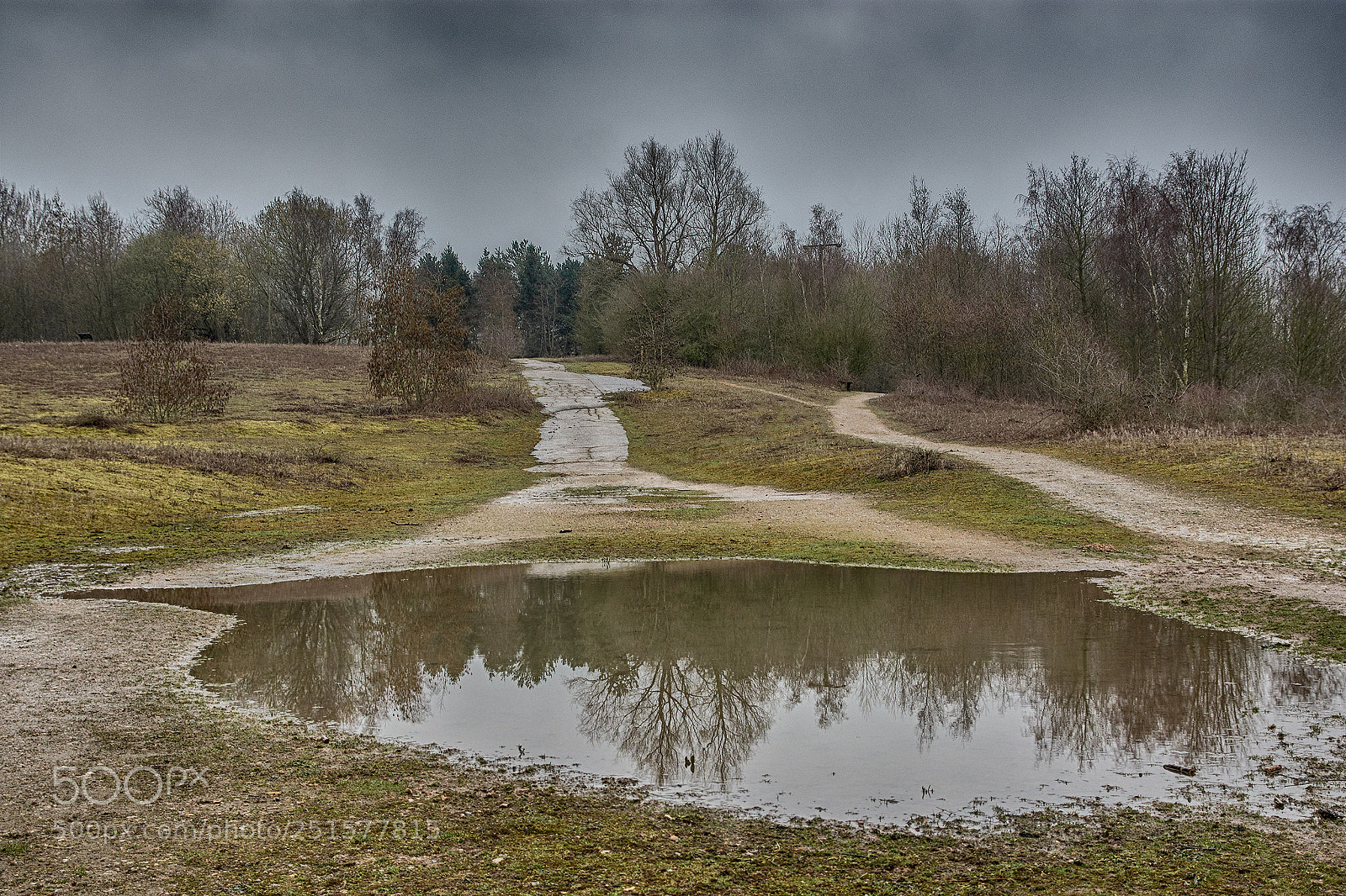 Nikon D7200 sample photo. Waterford heath, hertfordshire, england photography