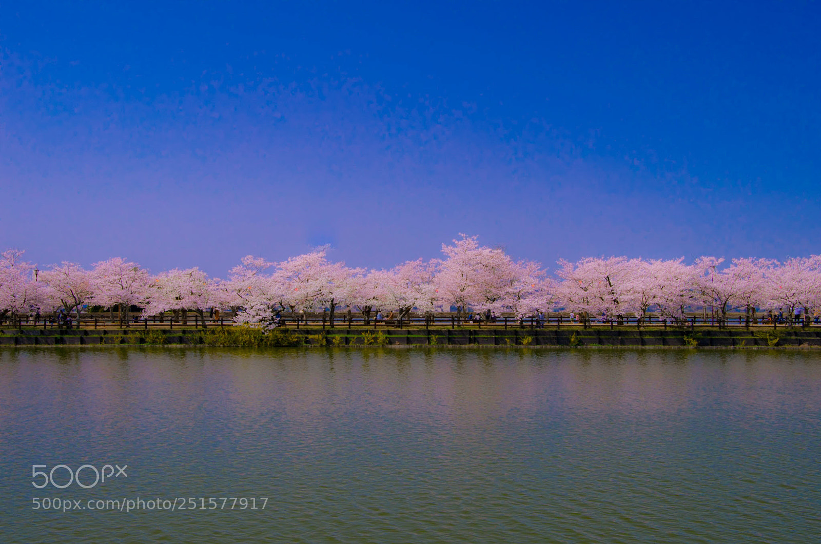 Pentax K-30 sample photo. 亀鶴公園 photography