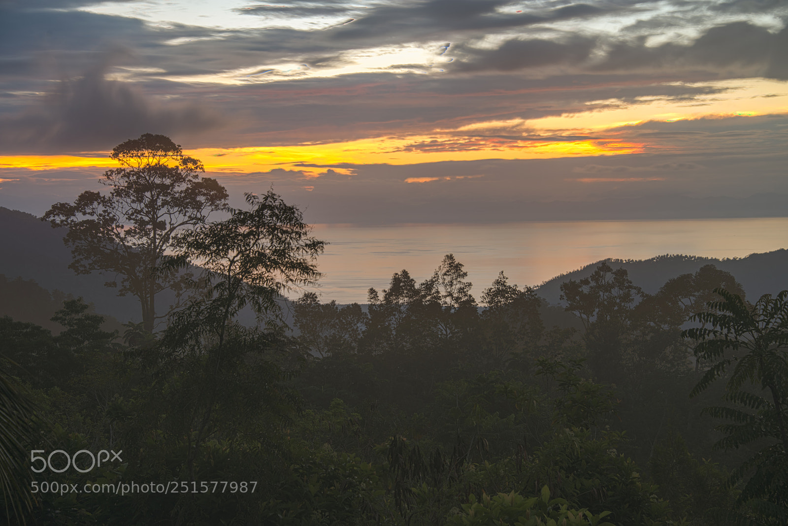 Nikon D810 sample photo. After the rain photography