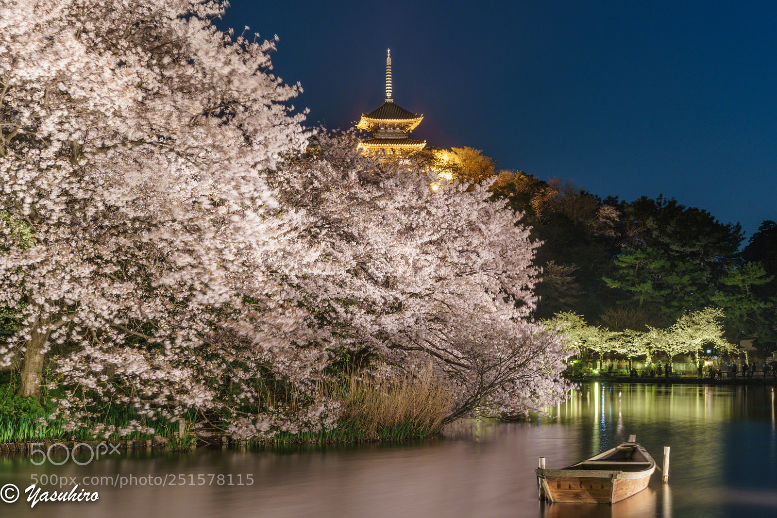 Sony a7R II sample photo. Cherry at night photography