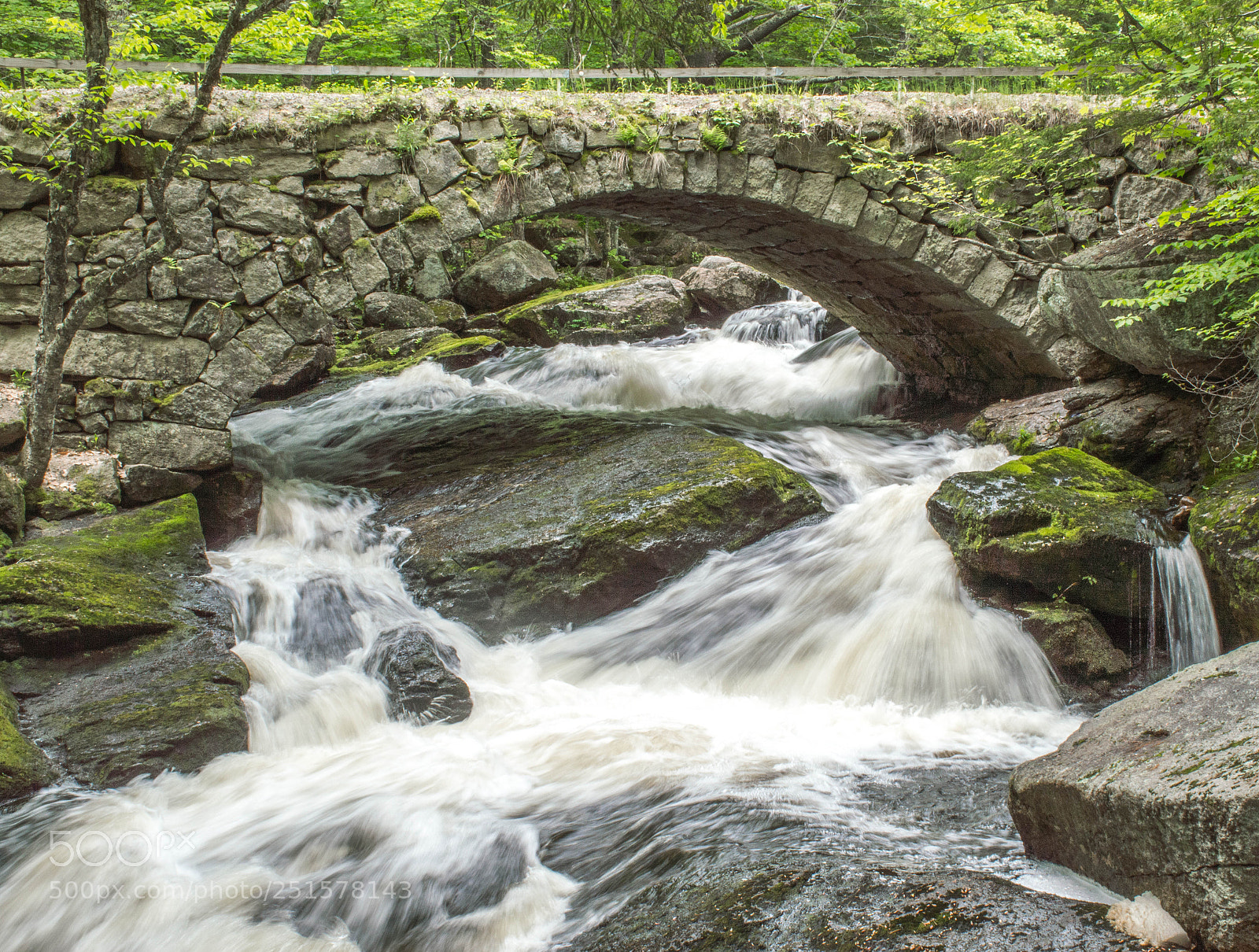 Nikon D3200 sample photo. Gilson falls photography