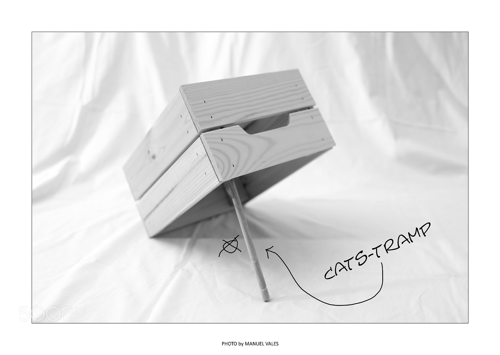 Canon EOS 5D Mark IV sample photo. Cats tramp photography
