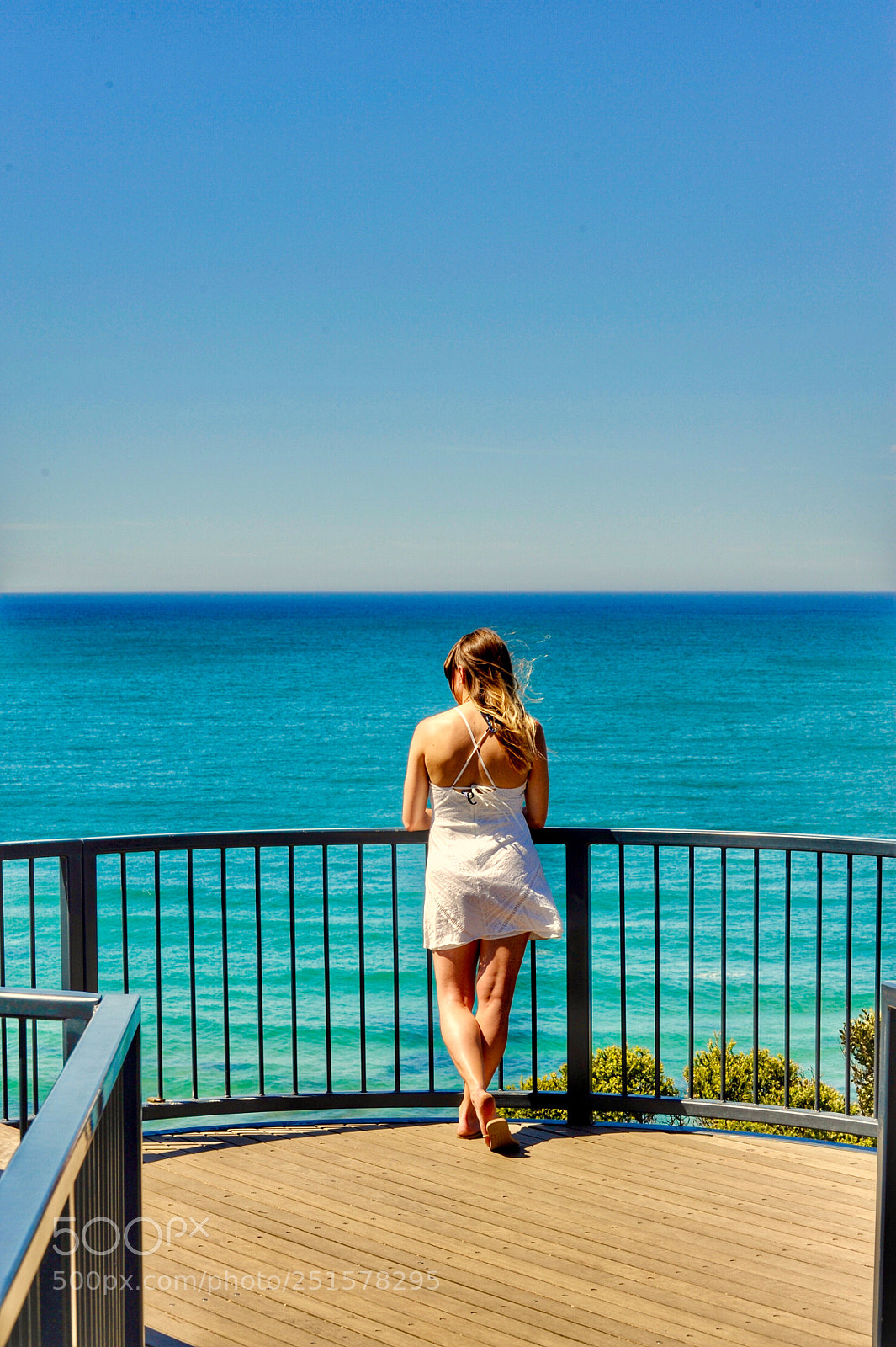 Nikon D700 sample photo. 《xu……》 photography