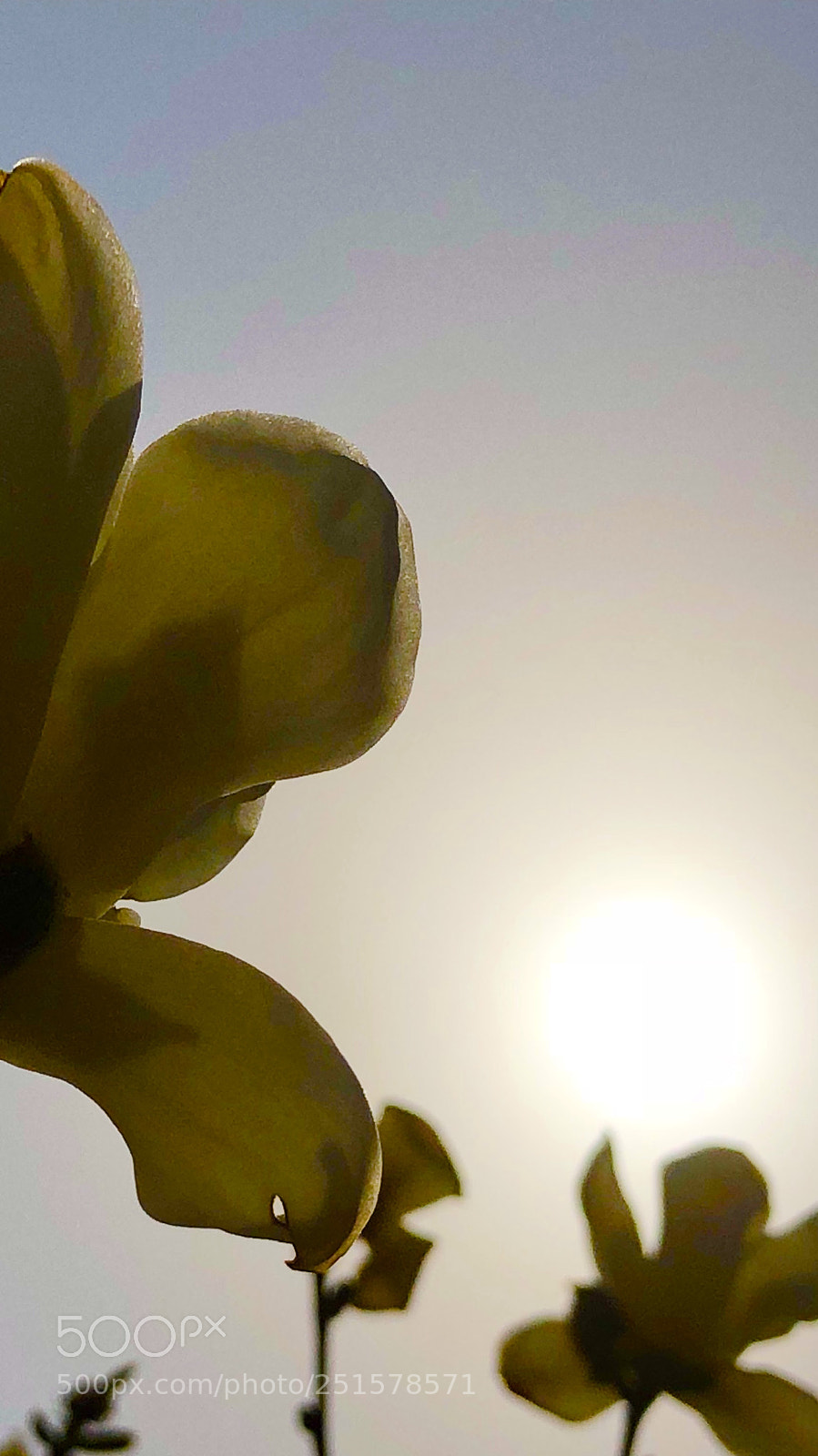 Apple iPhone X sample photo. Untitled photography
