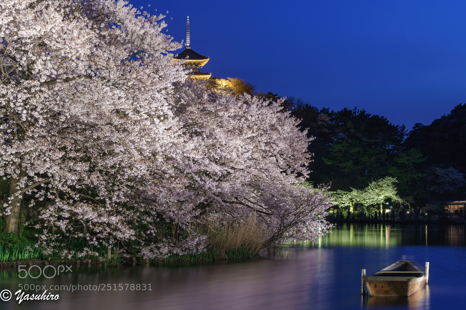 Sony a7R II sample photo. Cherry at night photography