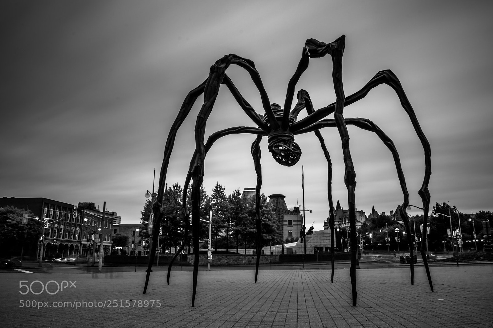 Nikon D3300 sample photo. Invasion photography