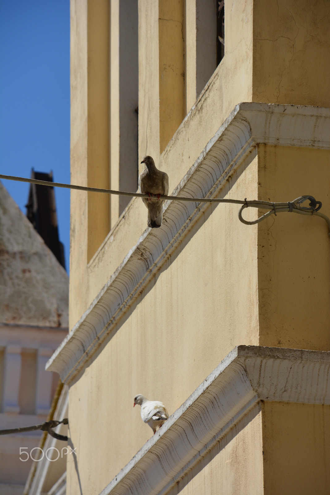 Nikon D5200 sample photo. I'am here at your back photography