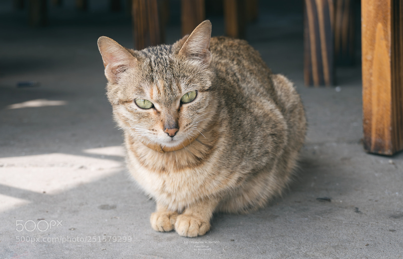 Sony a7R II sample photo. Mkpel photography