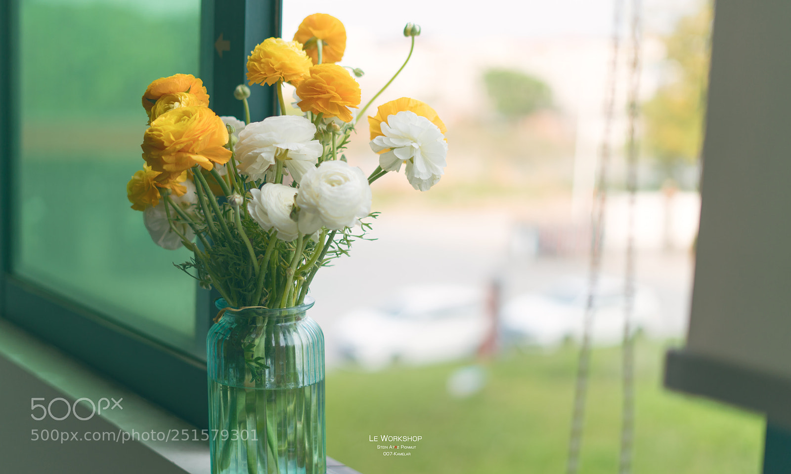 Sony a7R II sample photo. Mkprl photography