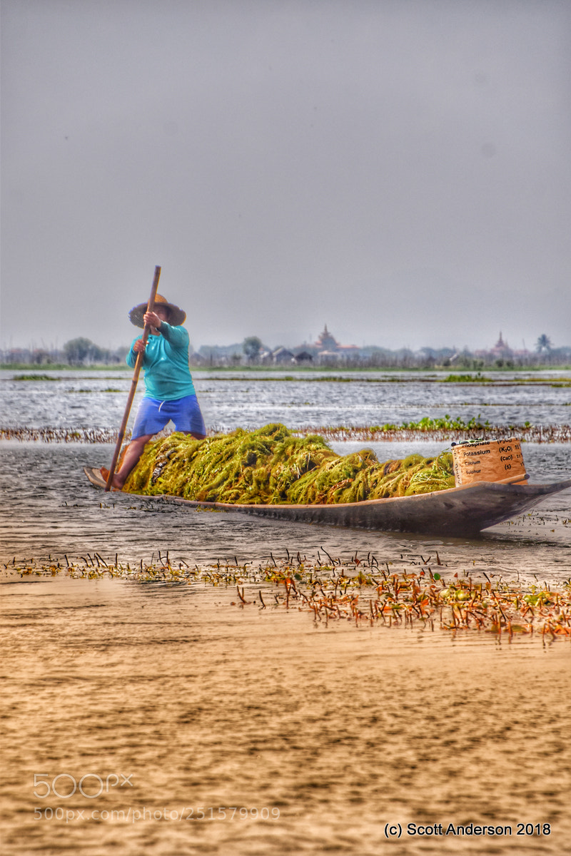 Nikon D5500 sample photo. Bangkok and burma photography