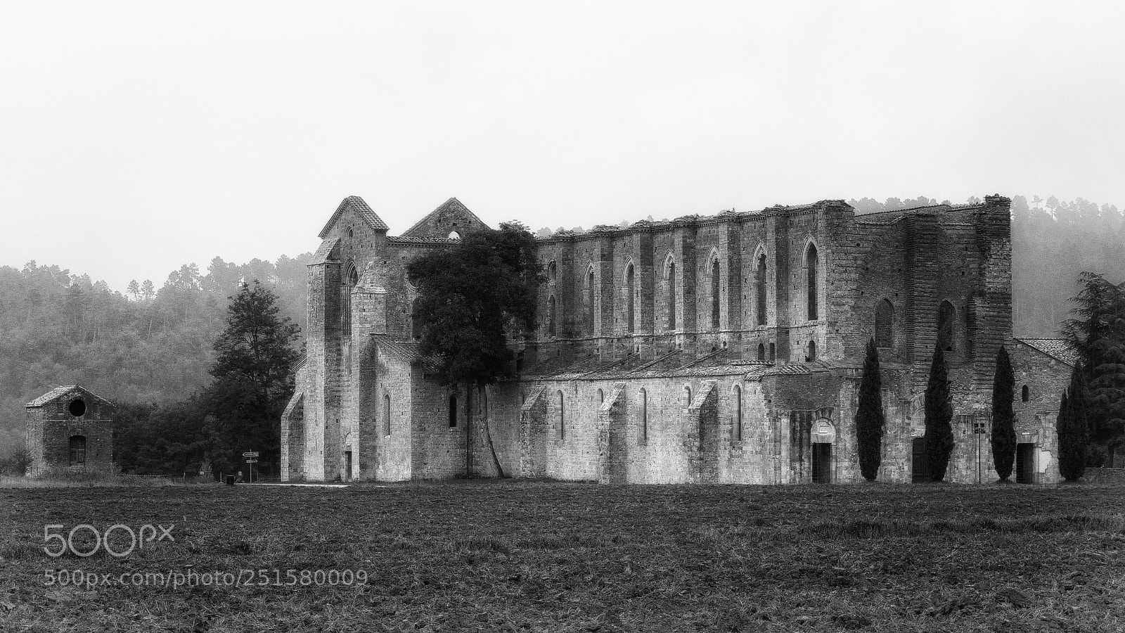 Nikon D7100 sample photo. Gothic and mysterious photography