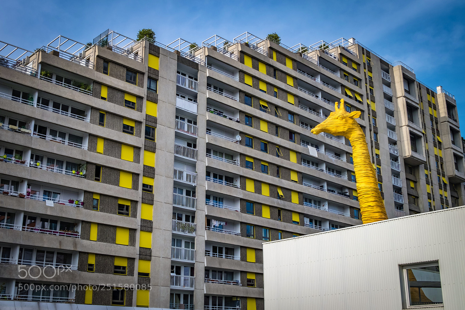 Fujifilm X-T10 sample photo. Giraffe photography