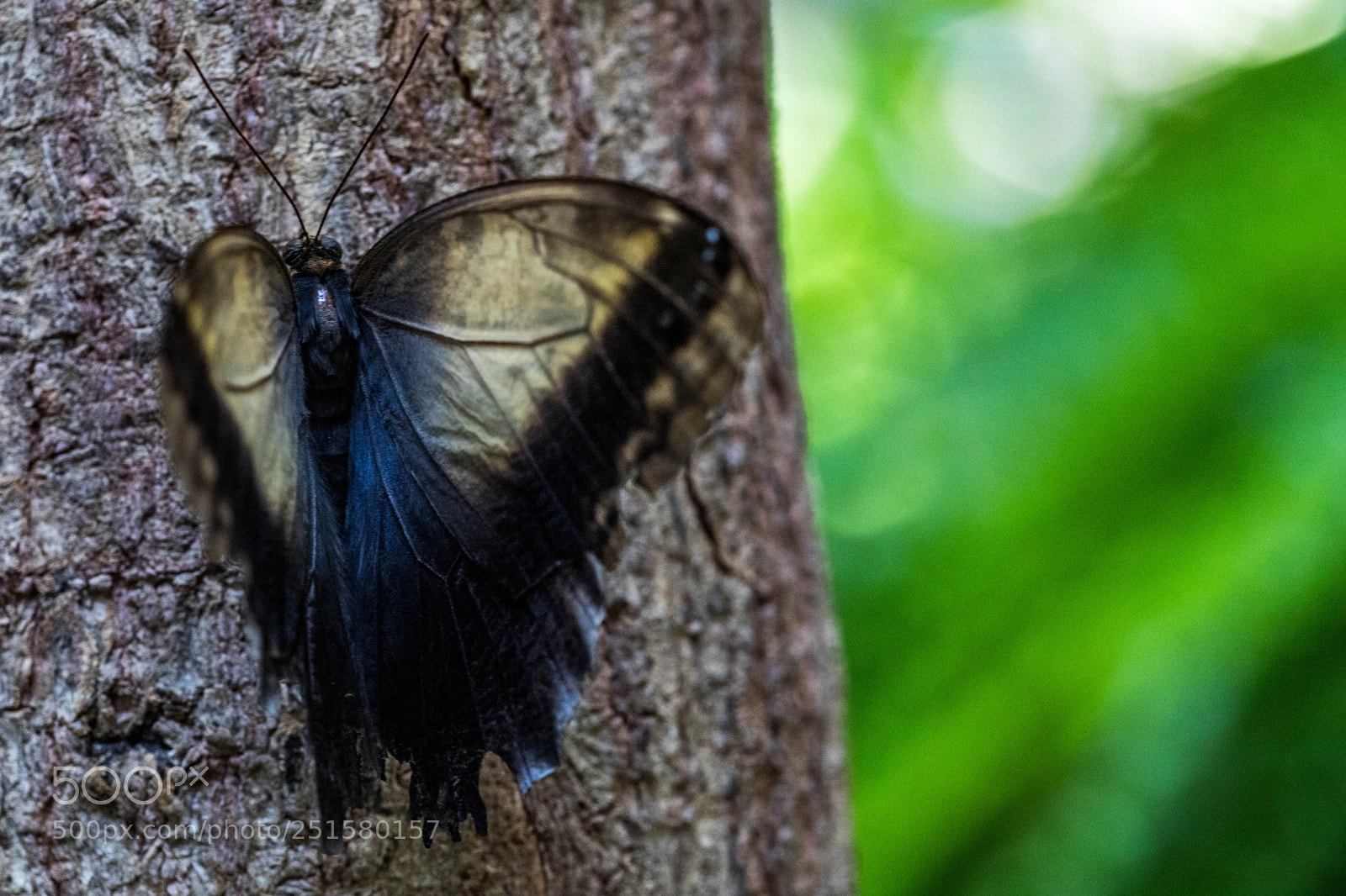 Canon EOS 5D Mark IV sample photo. Seclusion photography