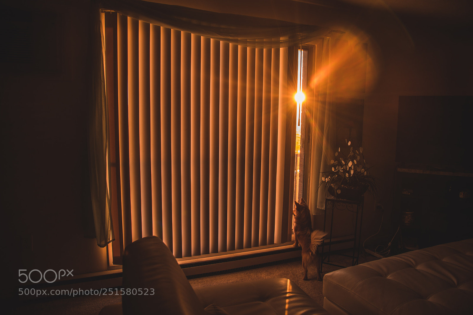 Nikon D500 sample photo. Sunrise mood photography