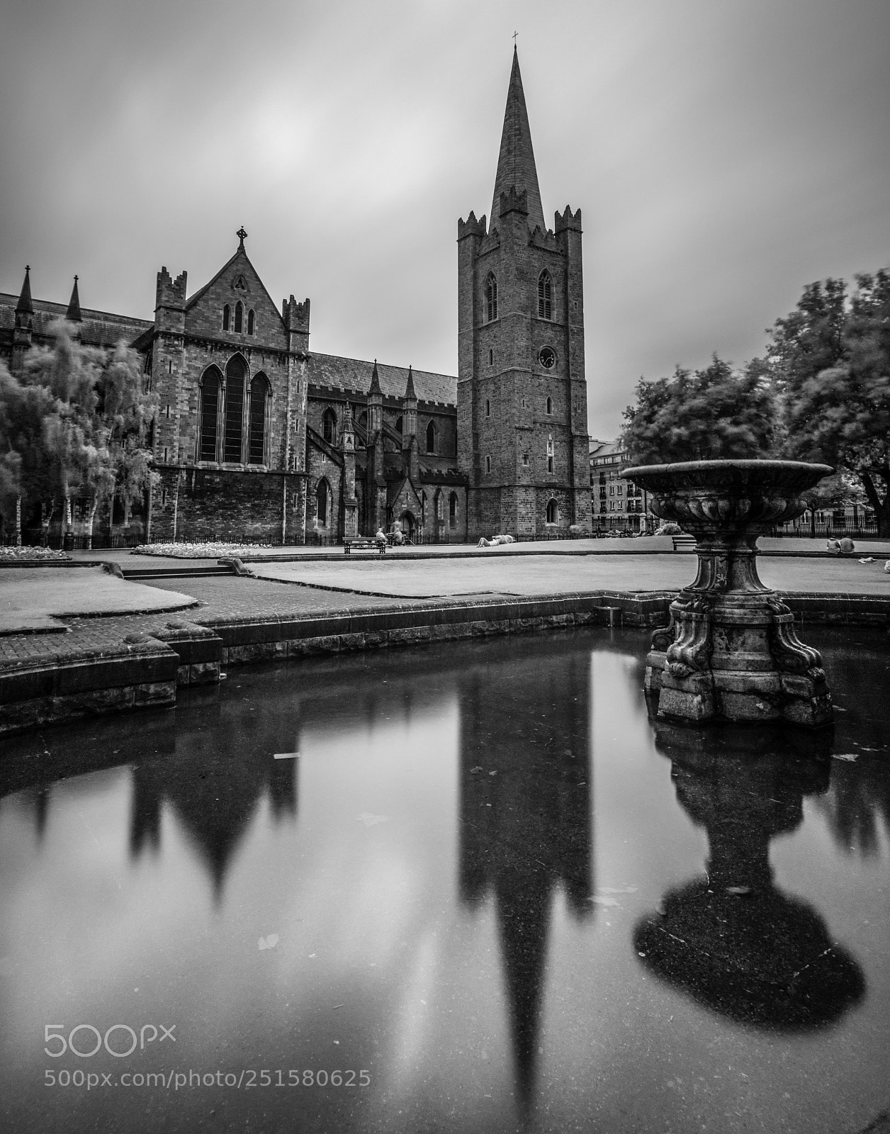Sony Alpha NEX-5R sample photo. Saintpatricks photography
