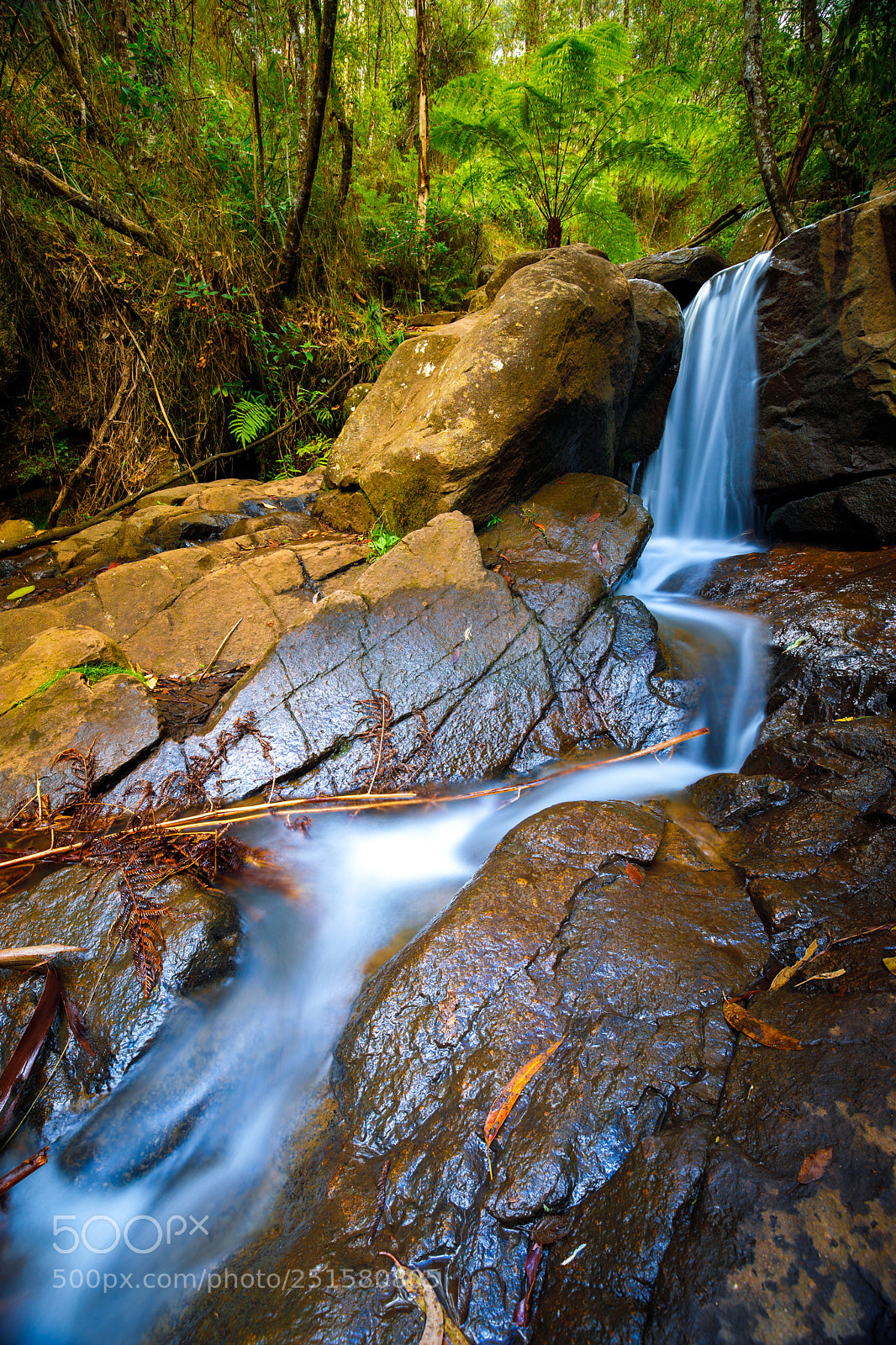 Canon EOS 5D Mark IV sample photo. Olinda falls photography