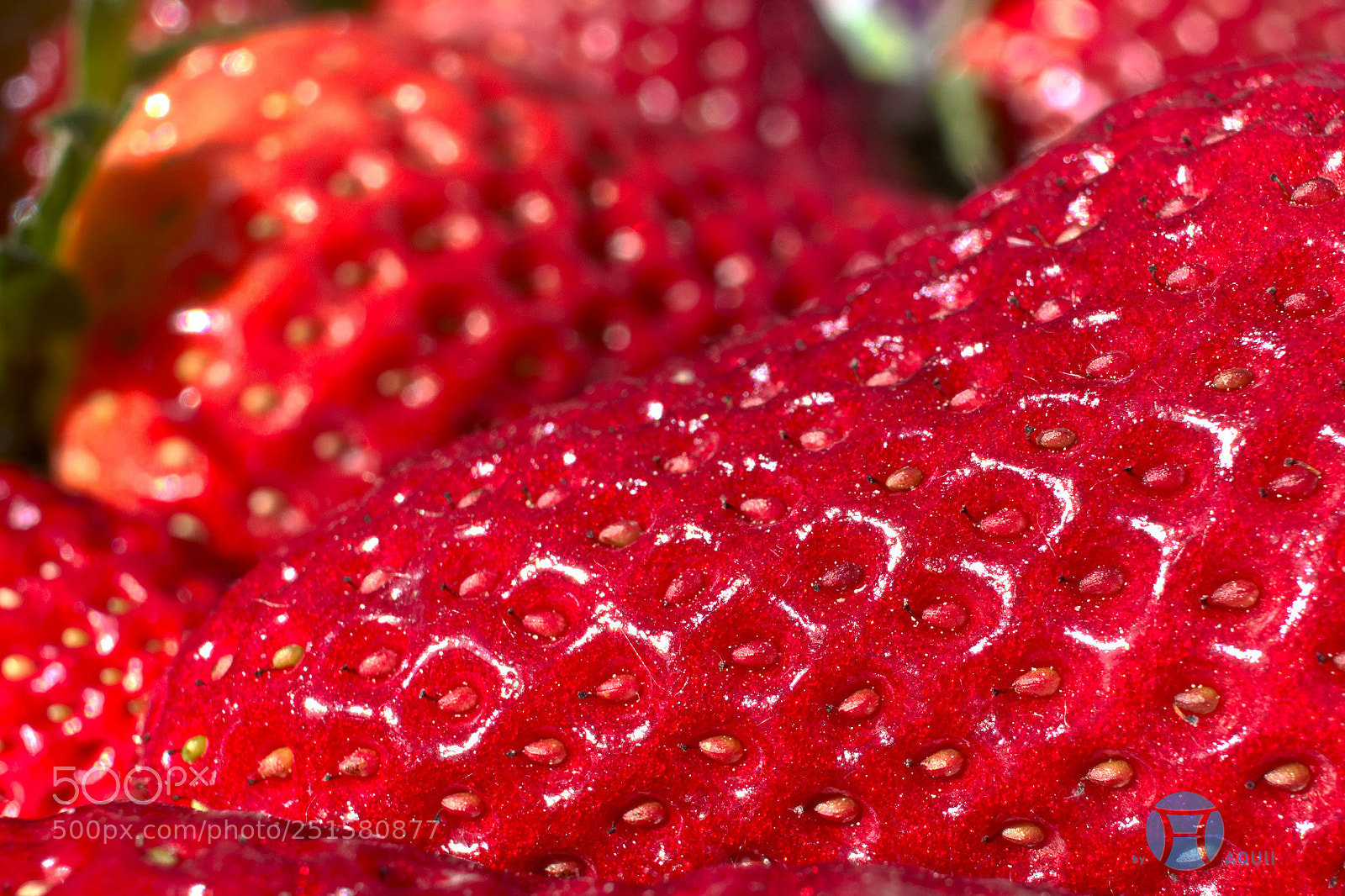 Panasonic Lumix DMC-GX85 (Lumix DMC-GX80 / Lumix DMC-GX7 Mark II) sample photo. Strawberry for ever photography