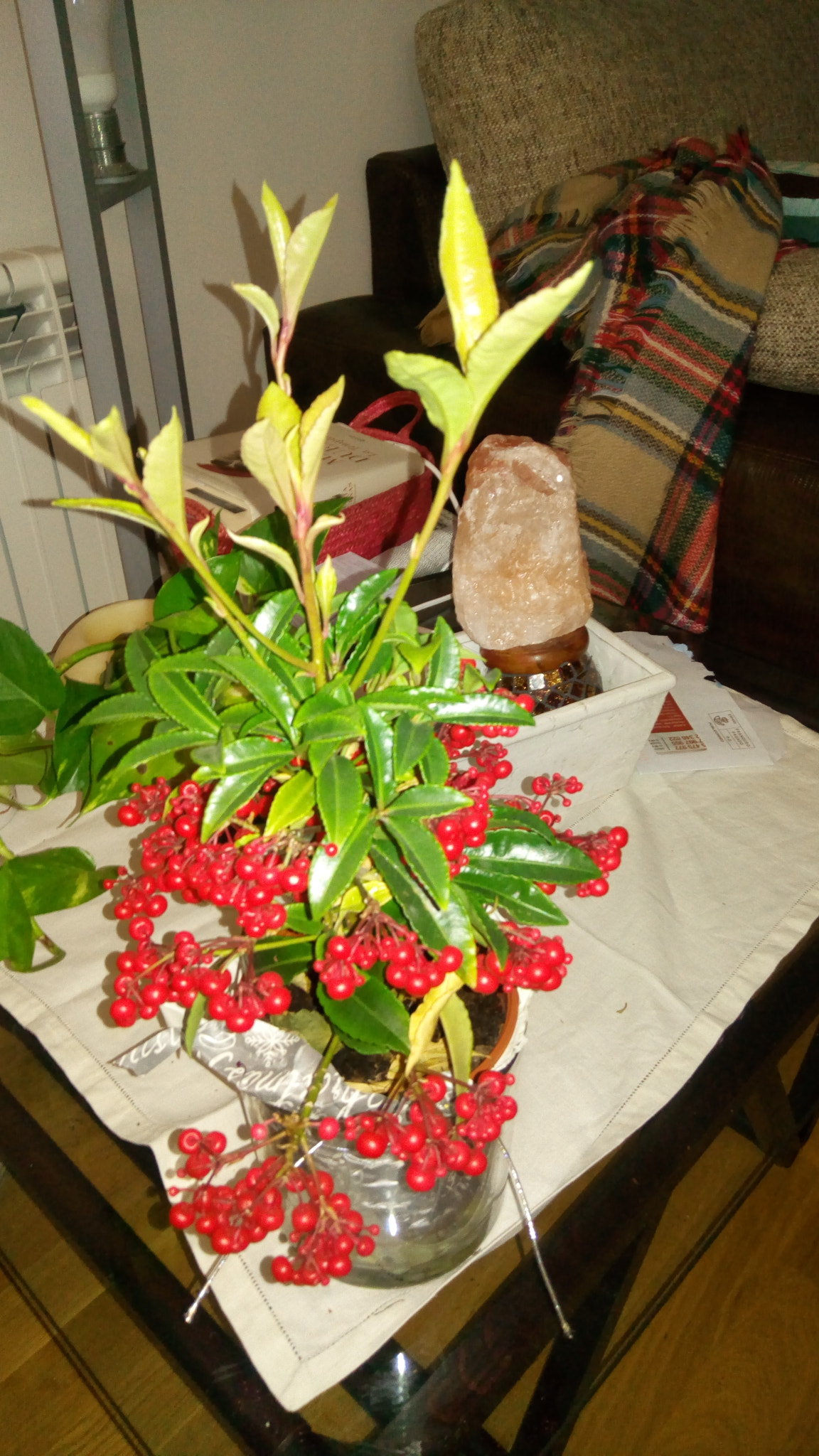 ASUS ZenFone 3 Max (ZC520TL) sample photo