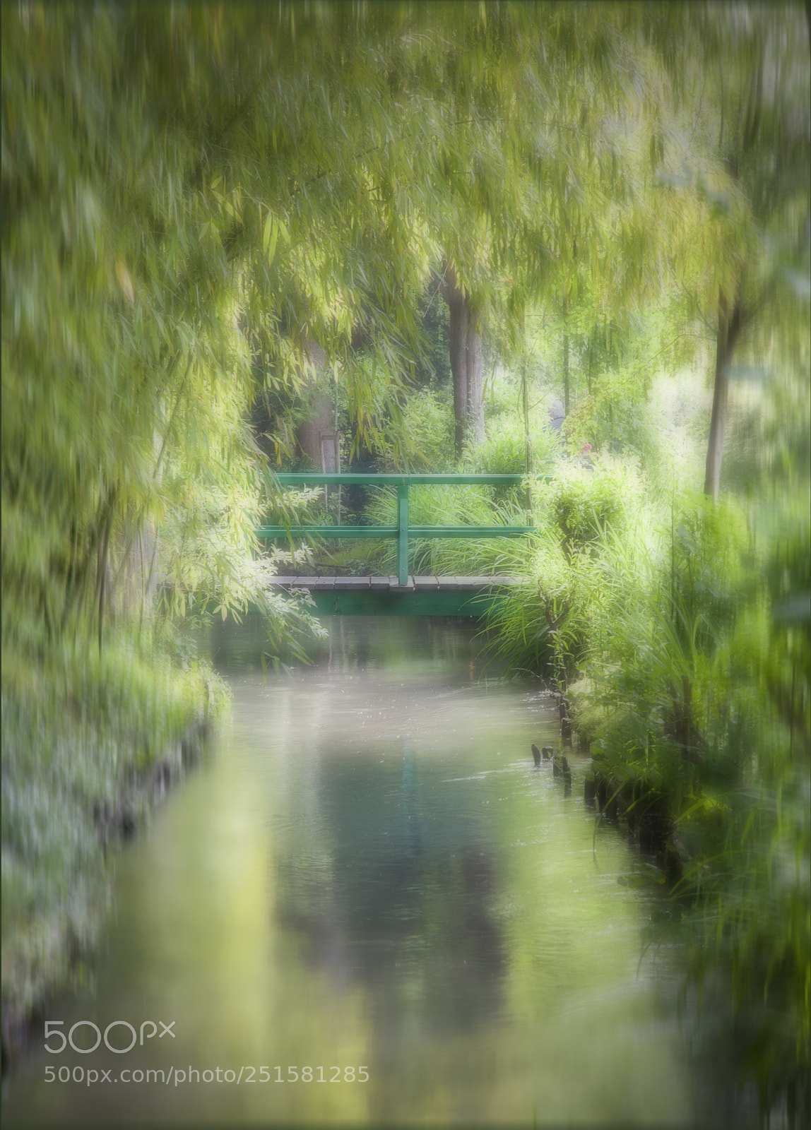 Canon EOS 5D sample photo. Monet's garden photography